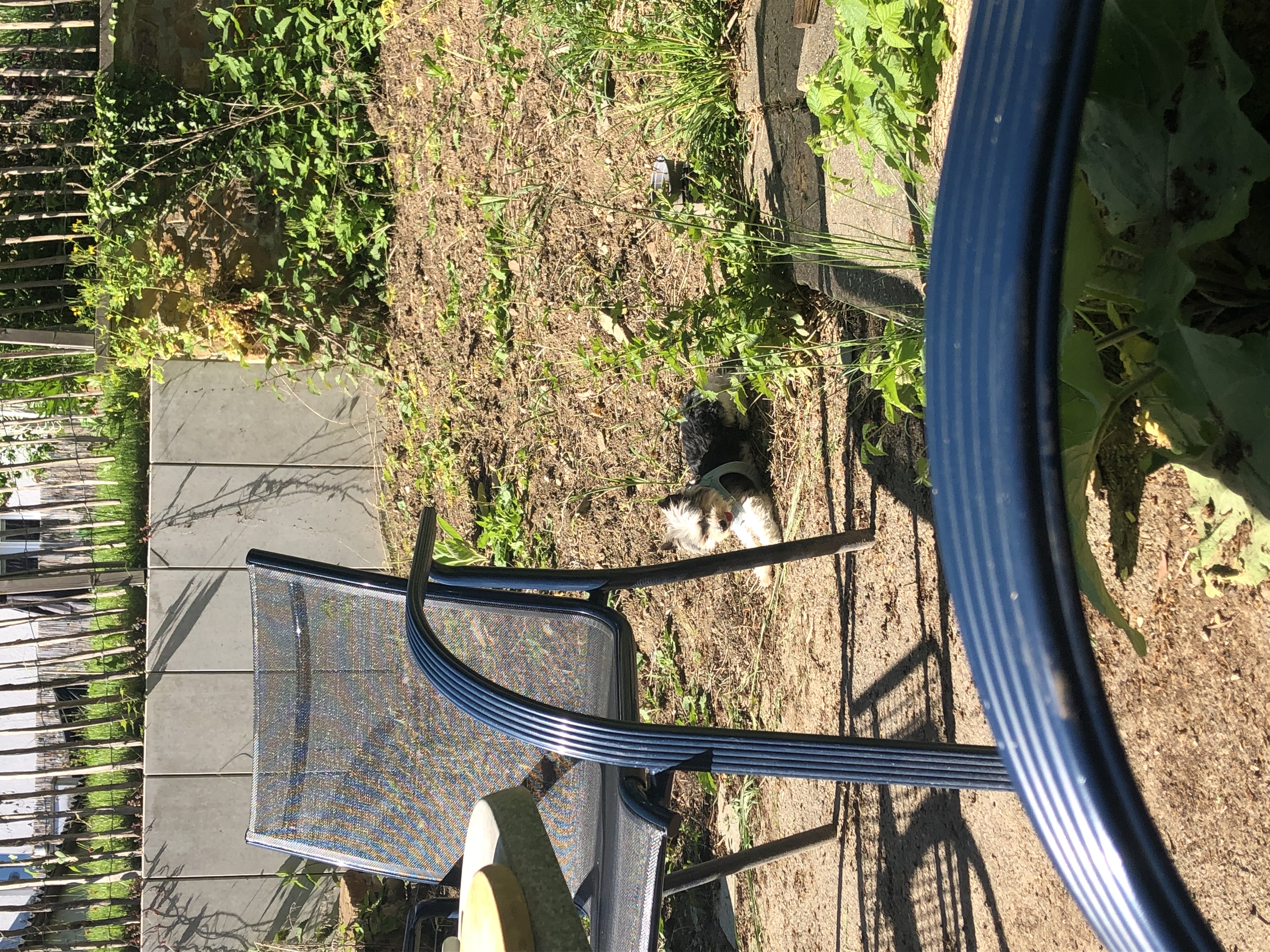 image-10