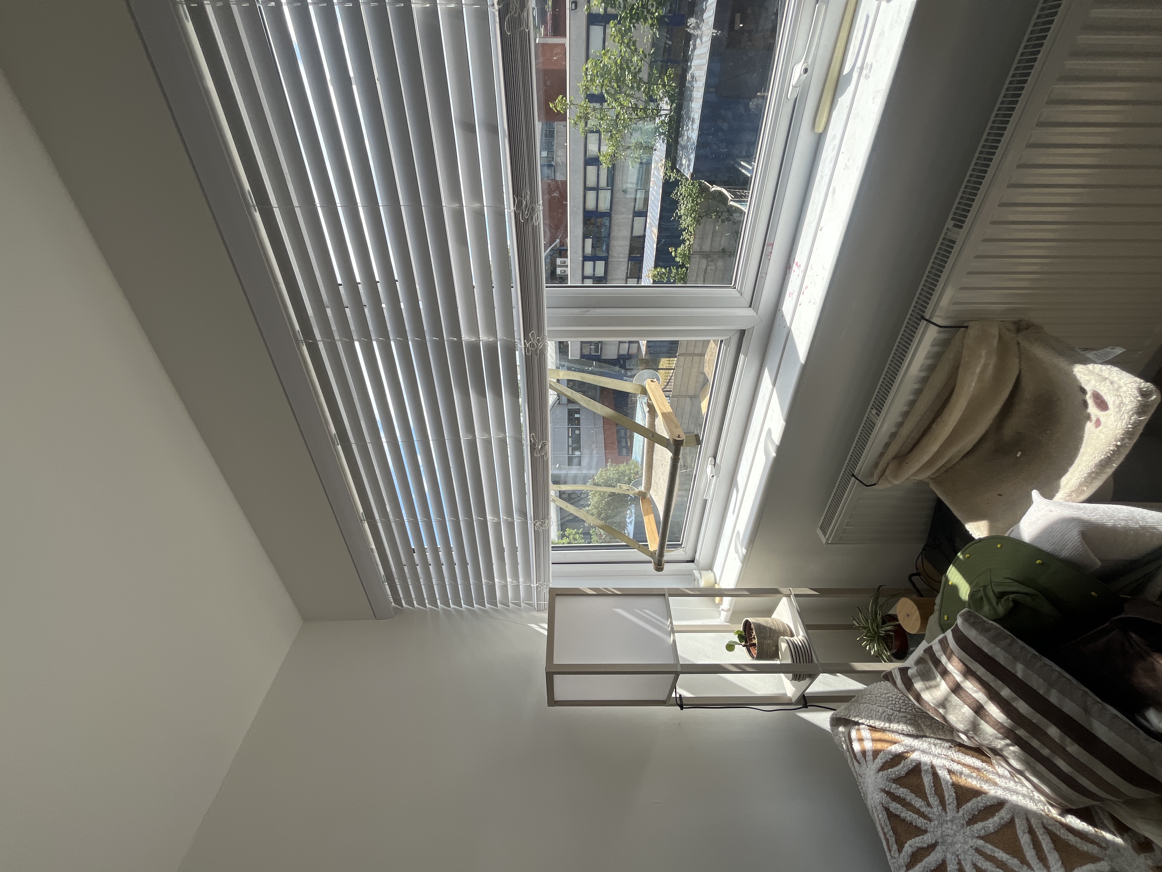 image-20