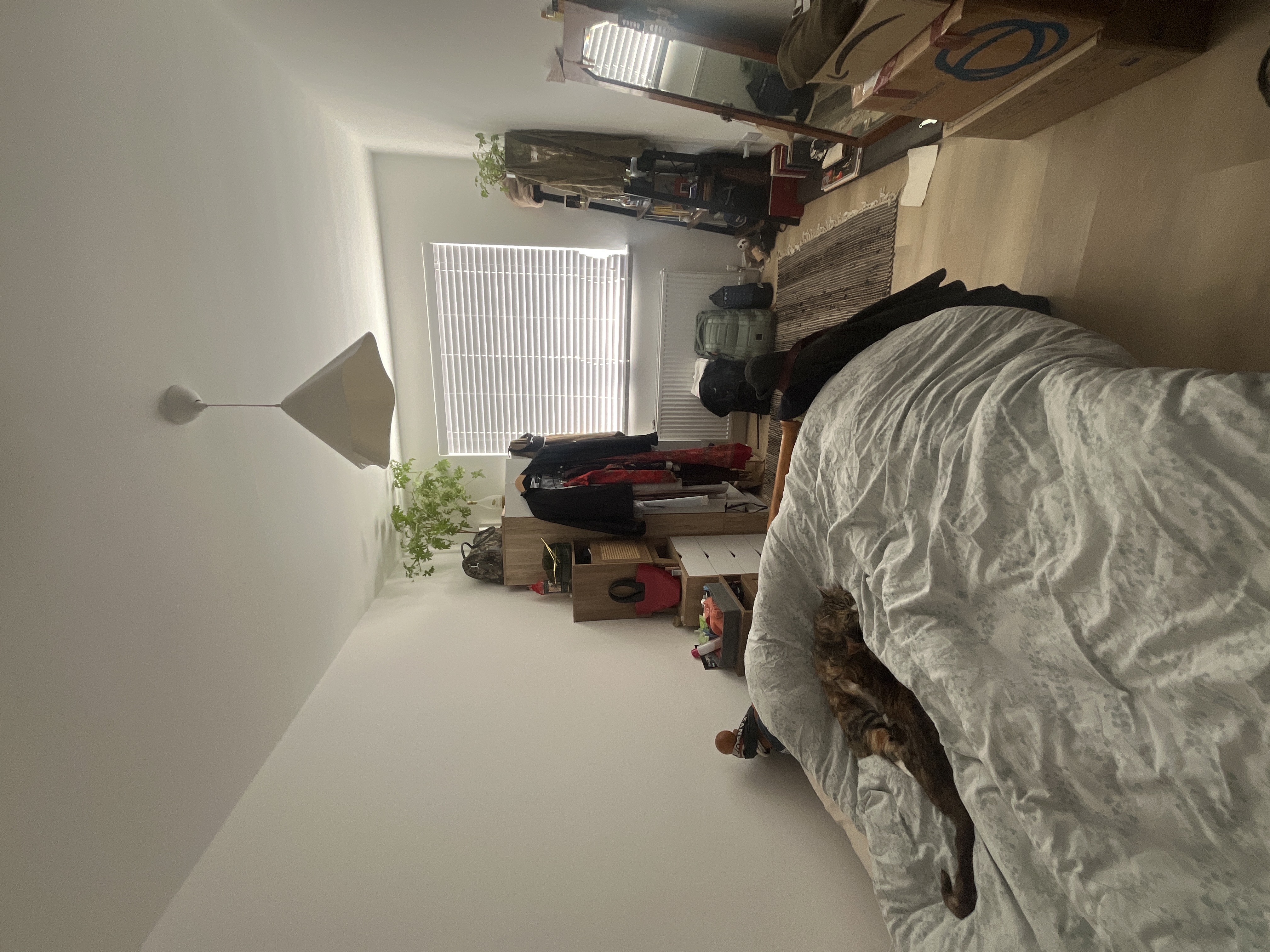 image-17