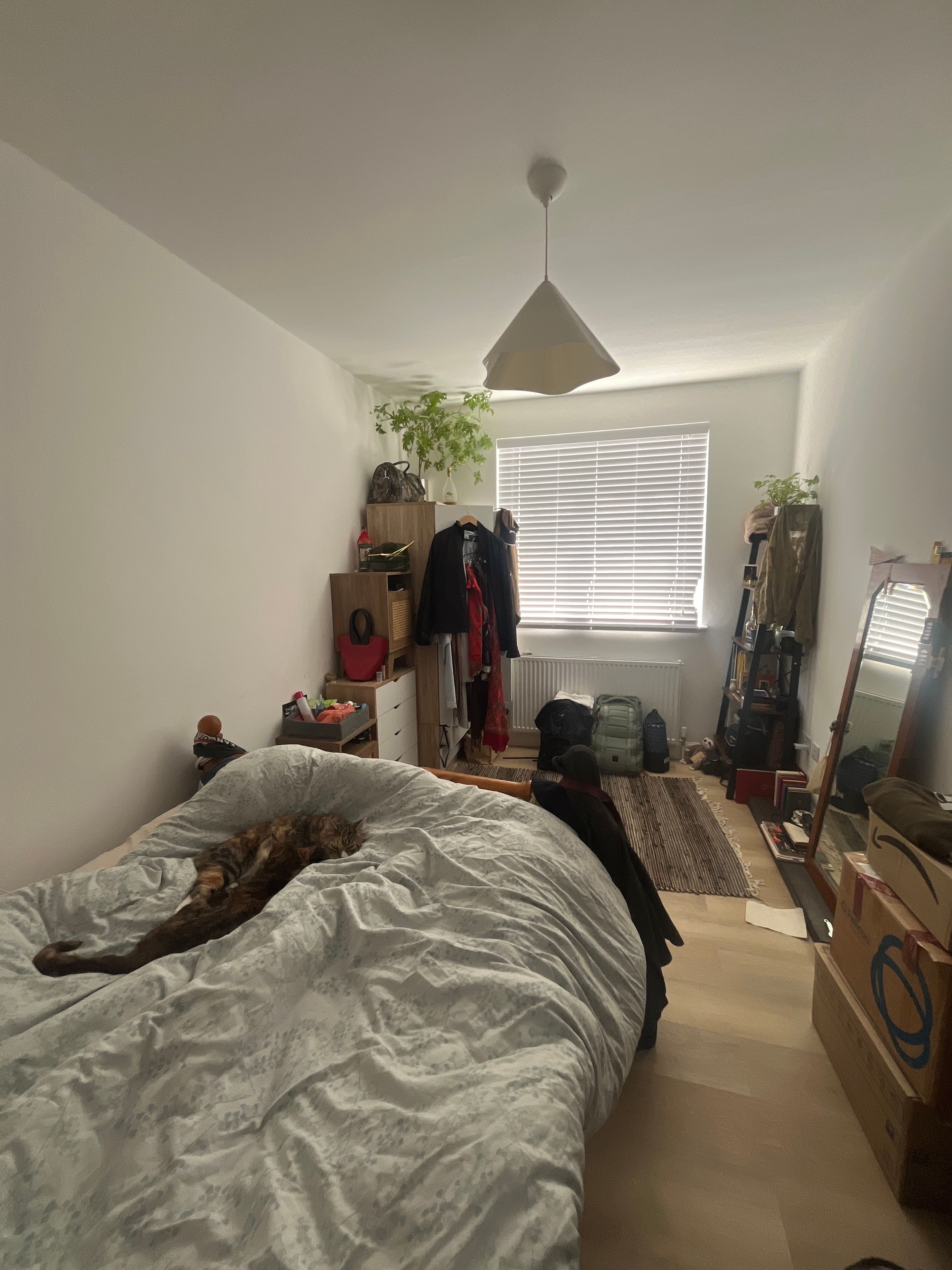 image-17
