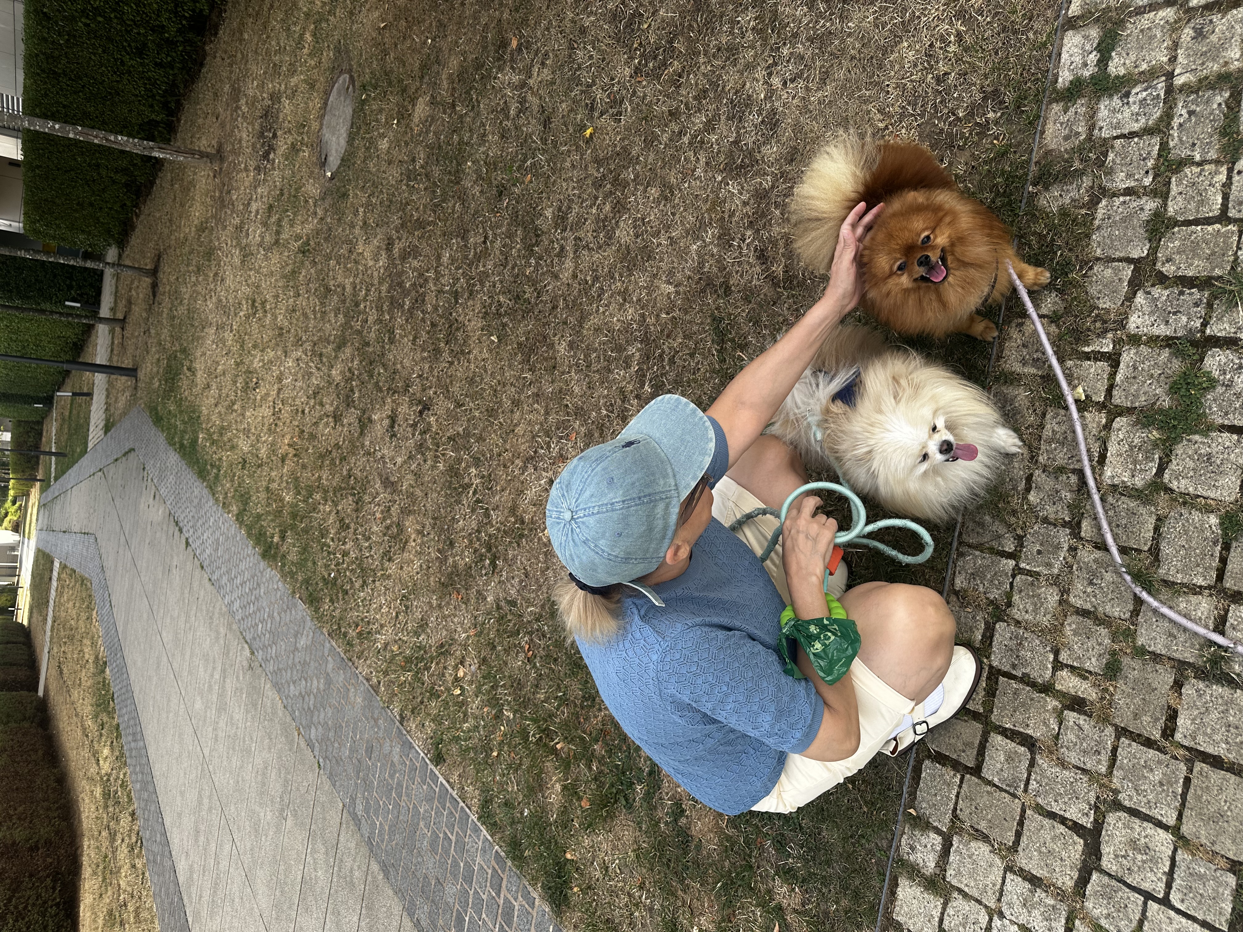 image-13