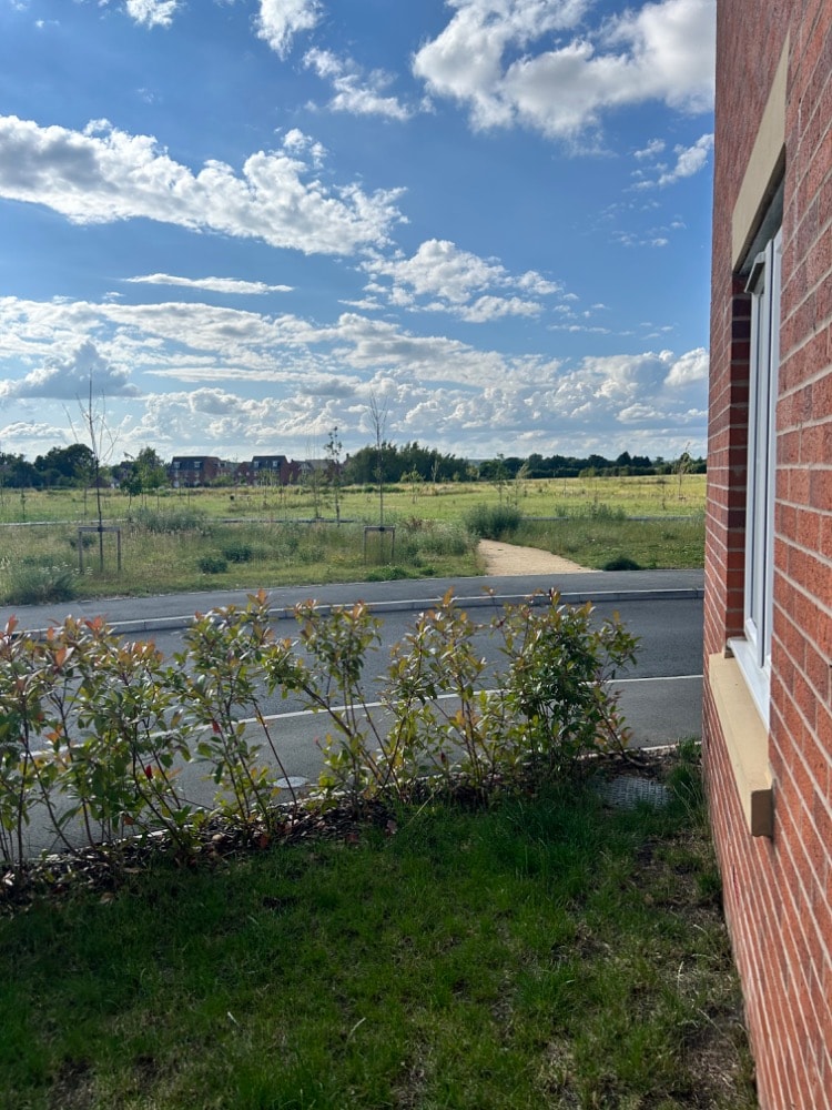 image-4