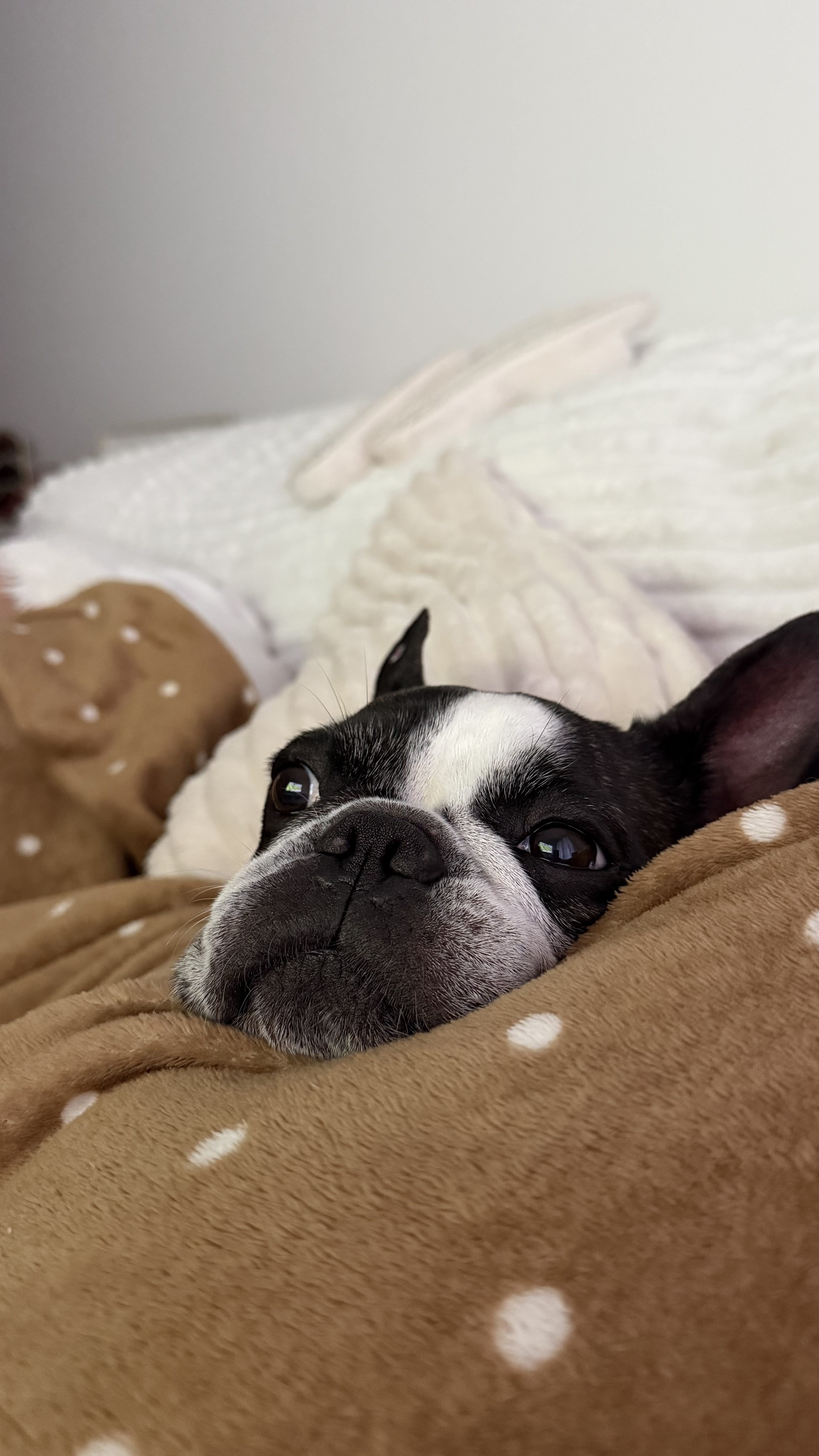 image-10