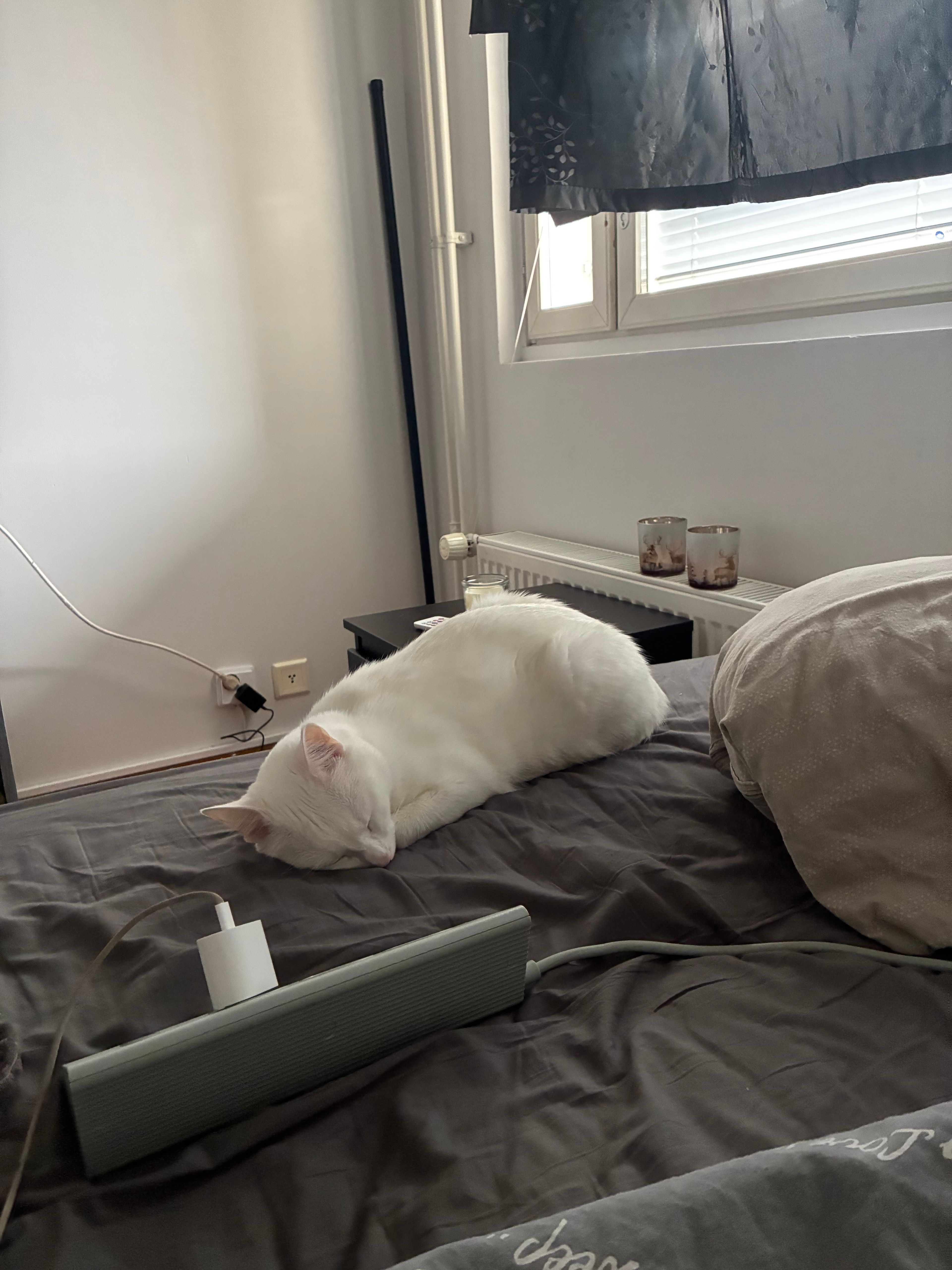 image-19