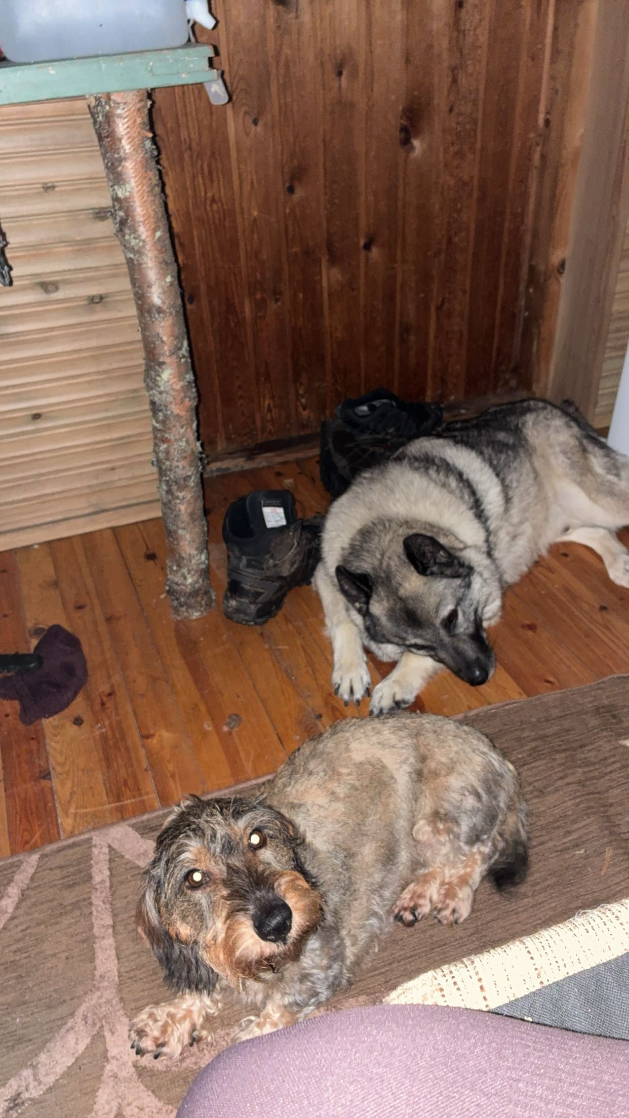 image-16