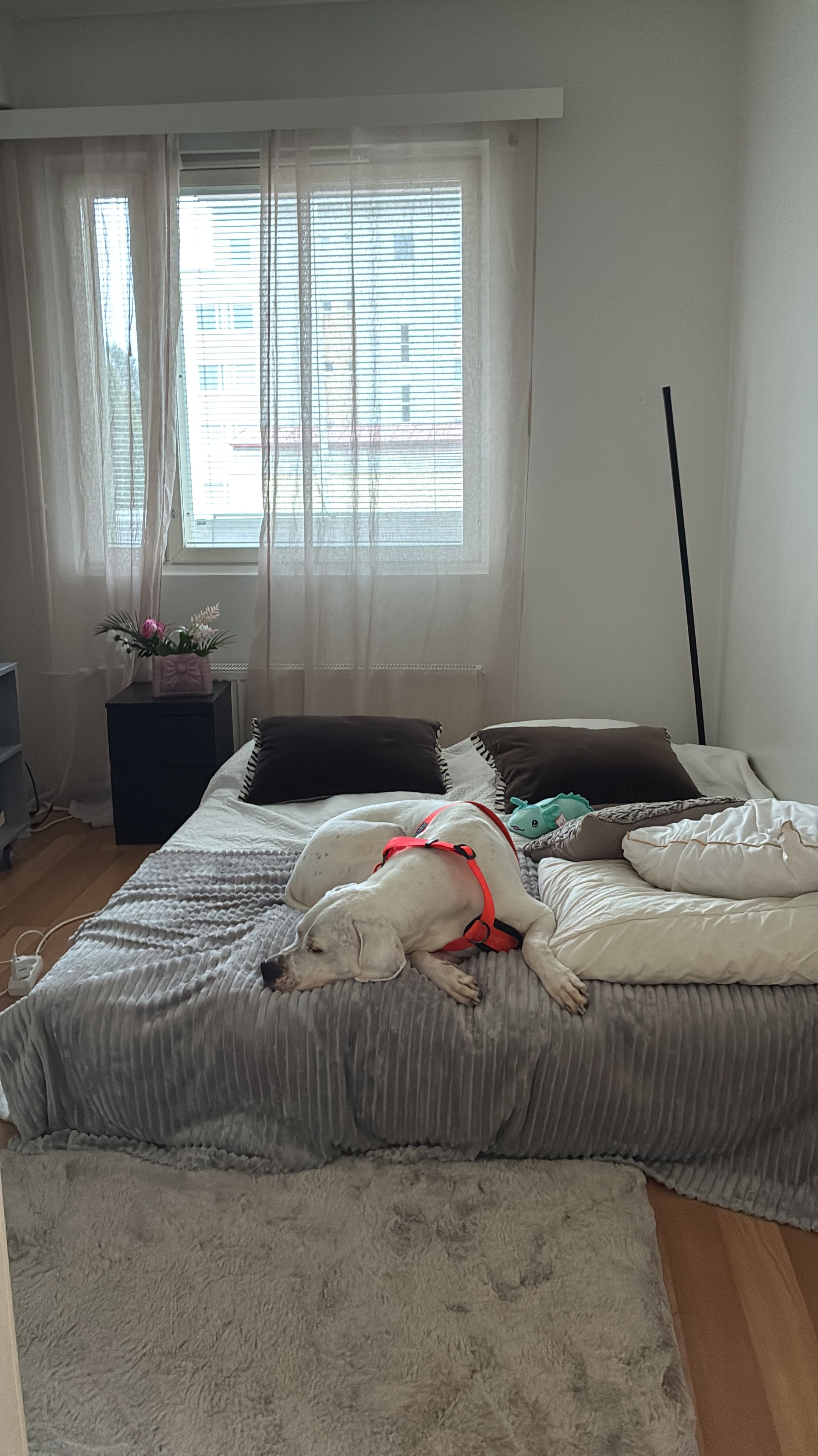 image-18