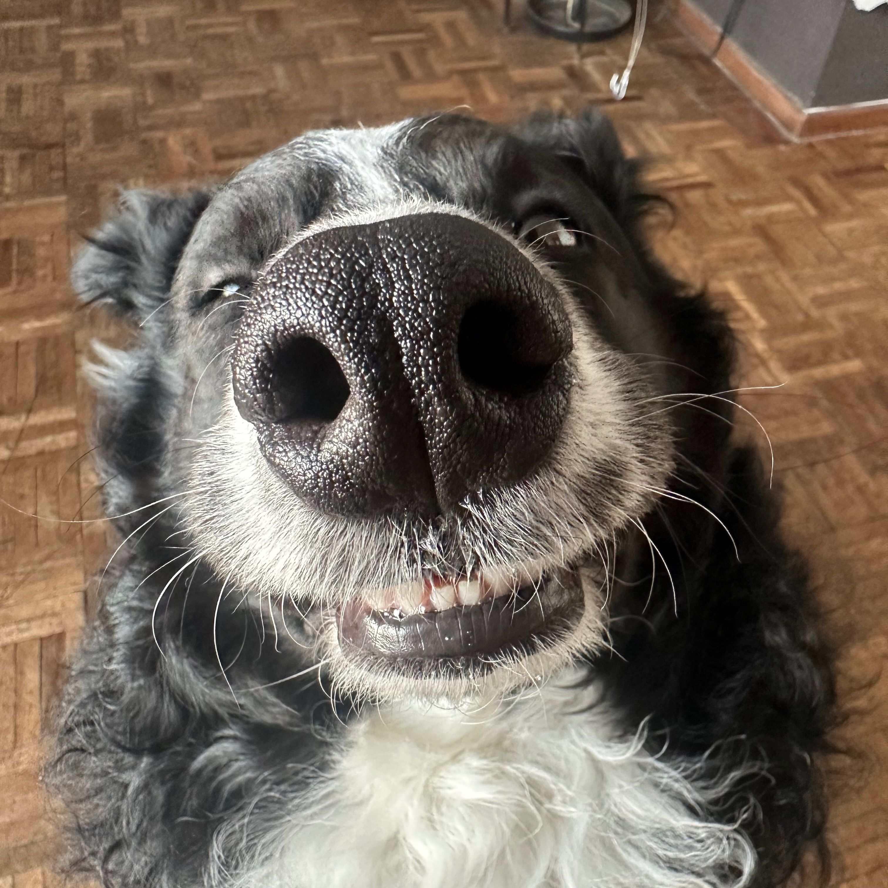 Luke