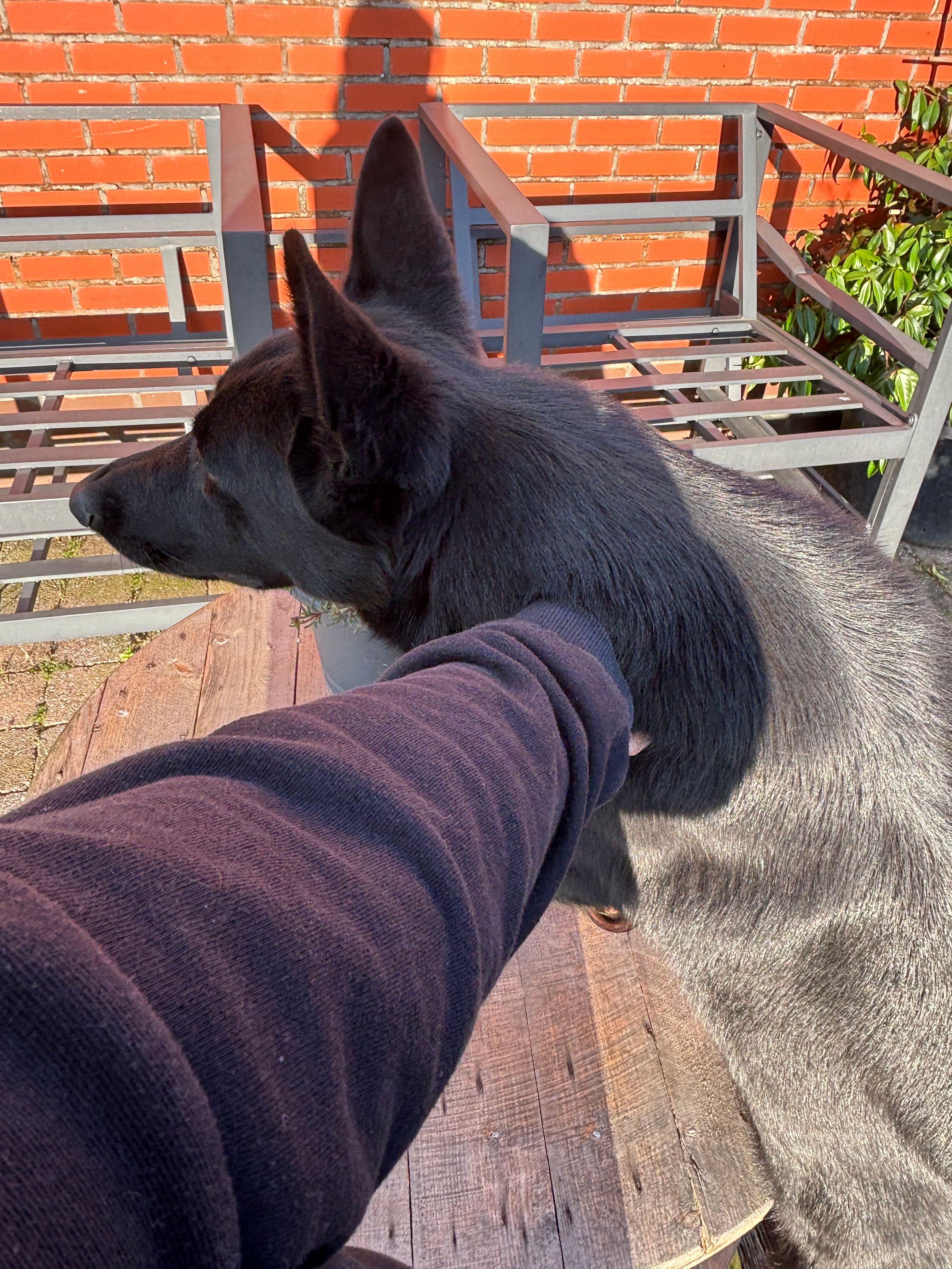 image-7
