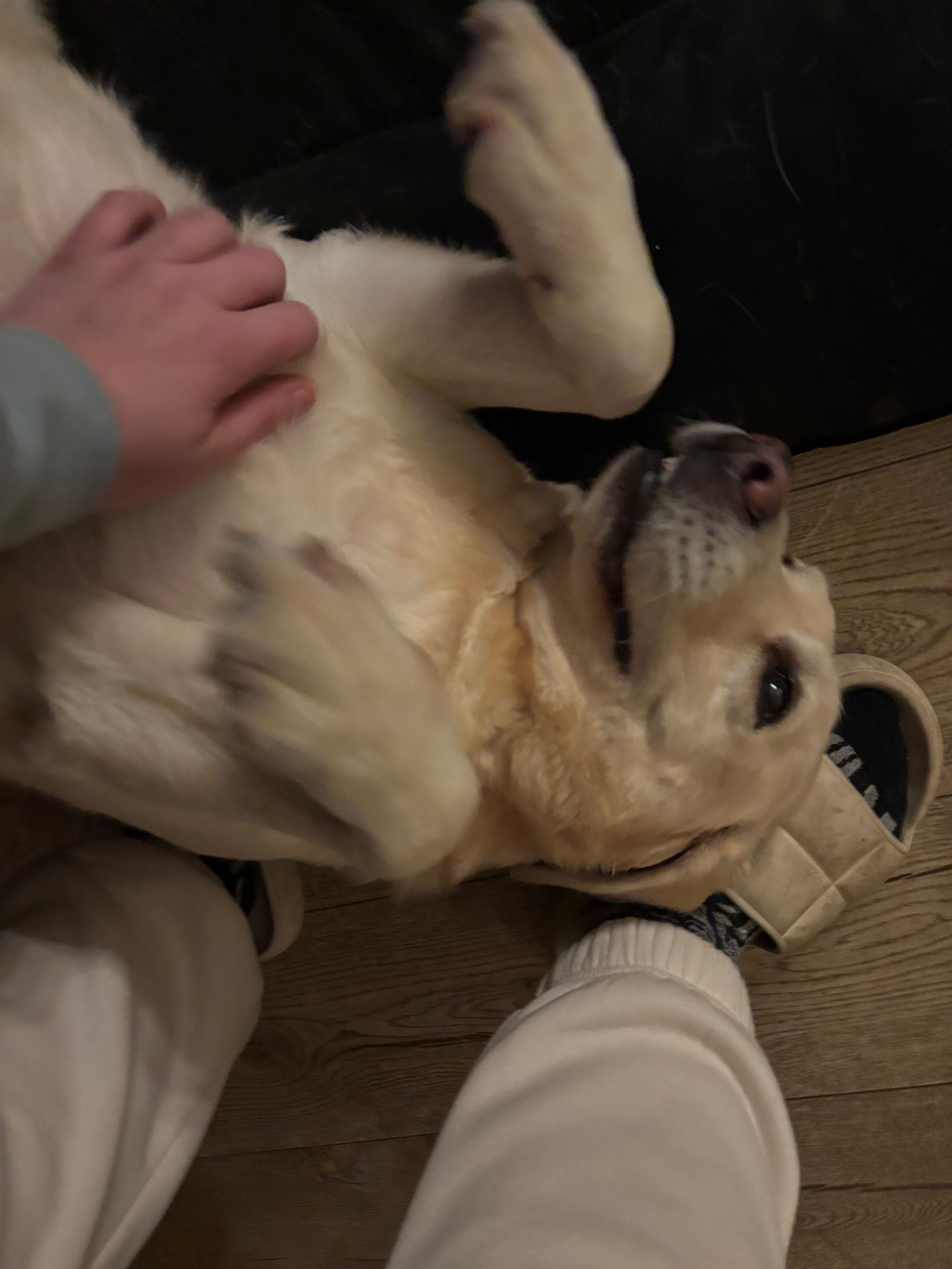 image-8