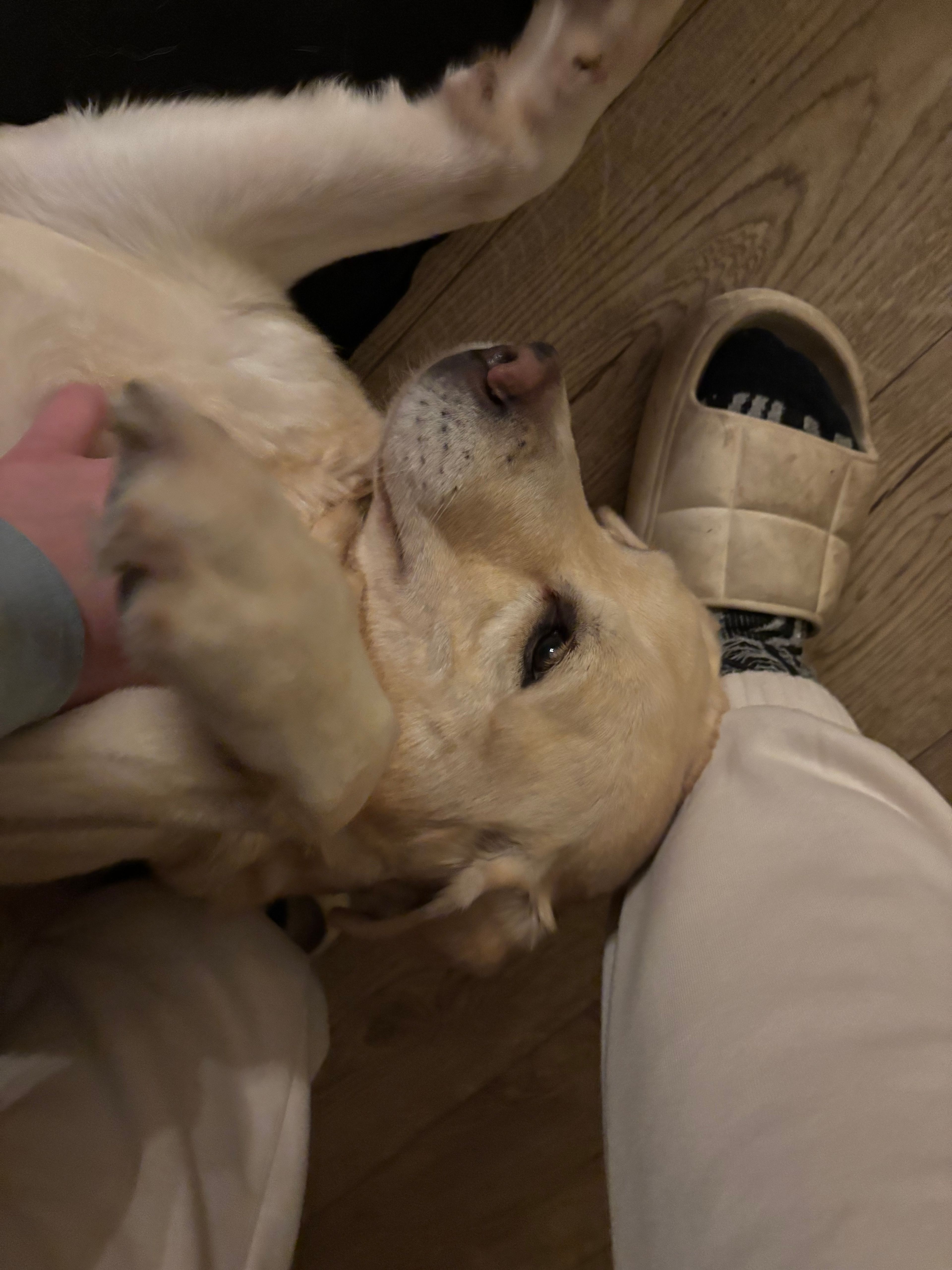 image-6