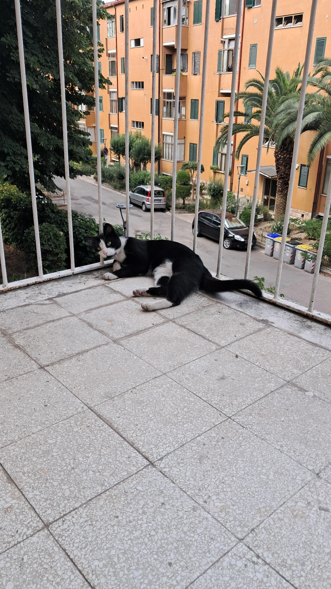 image-11