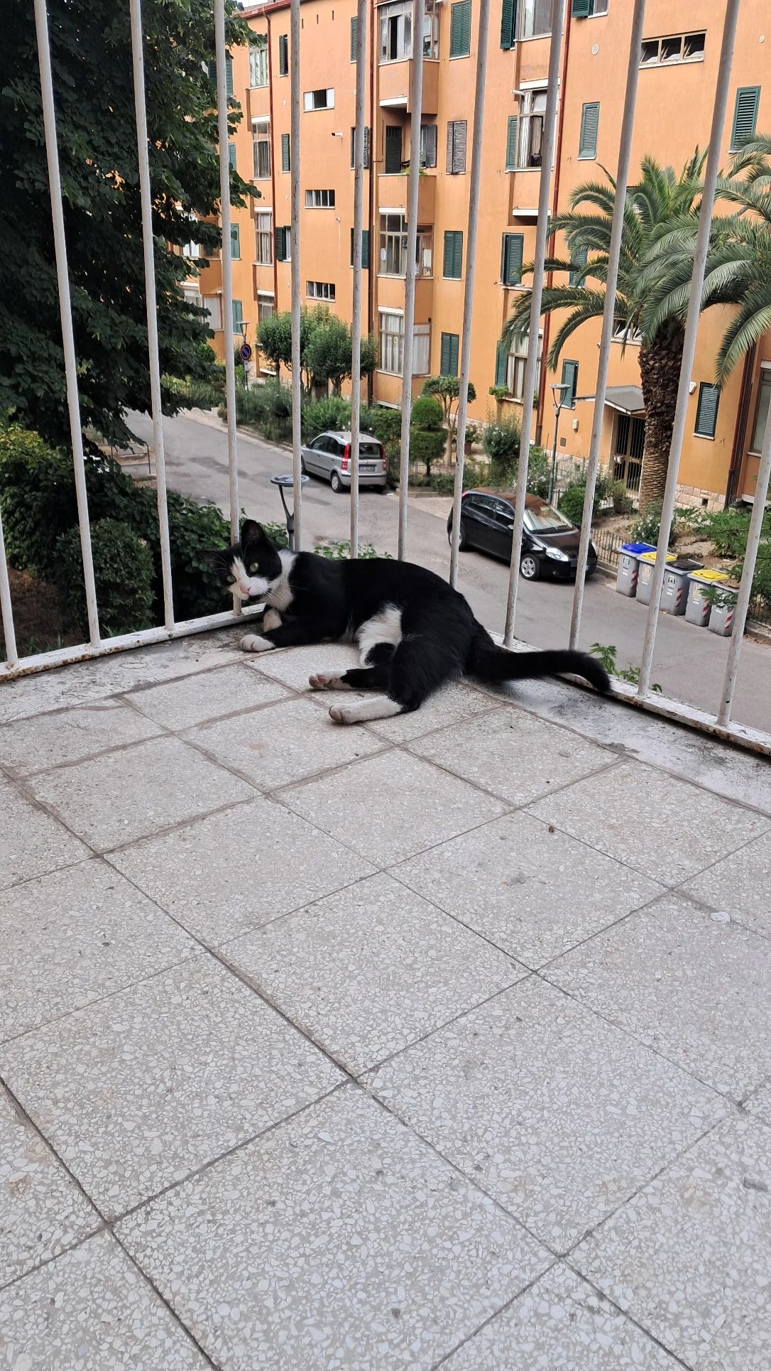 image-11
