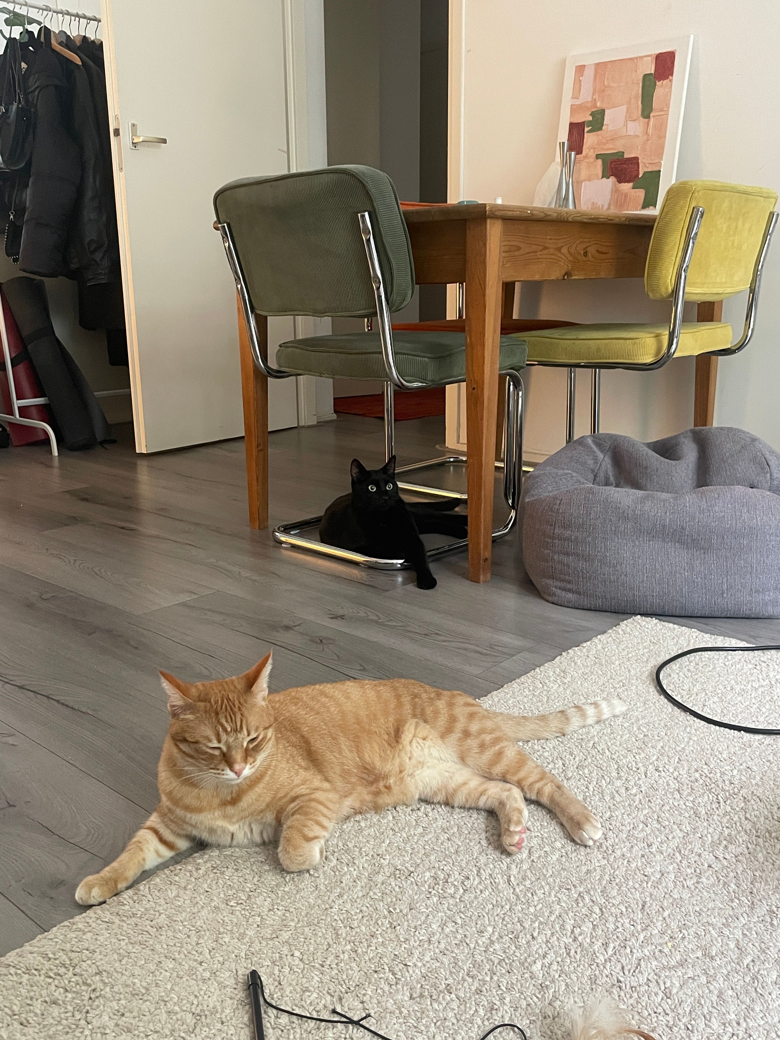 image-8