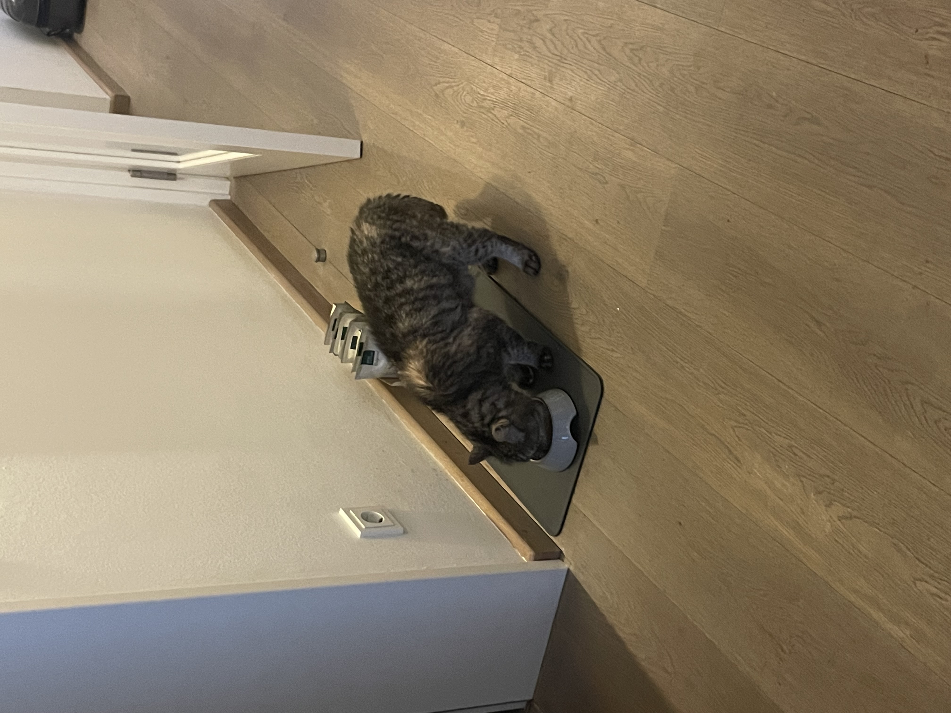 image-6