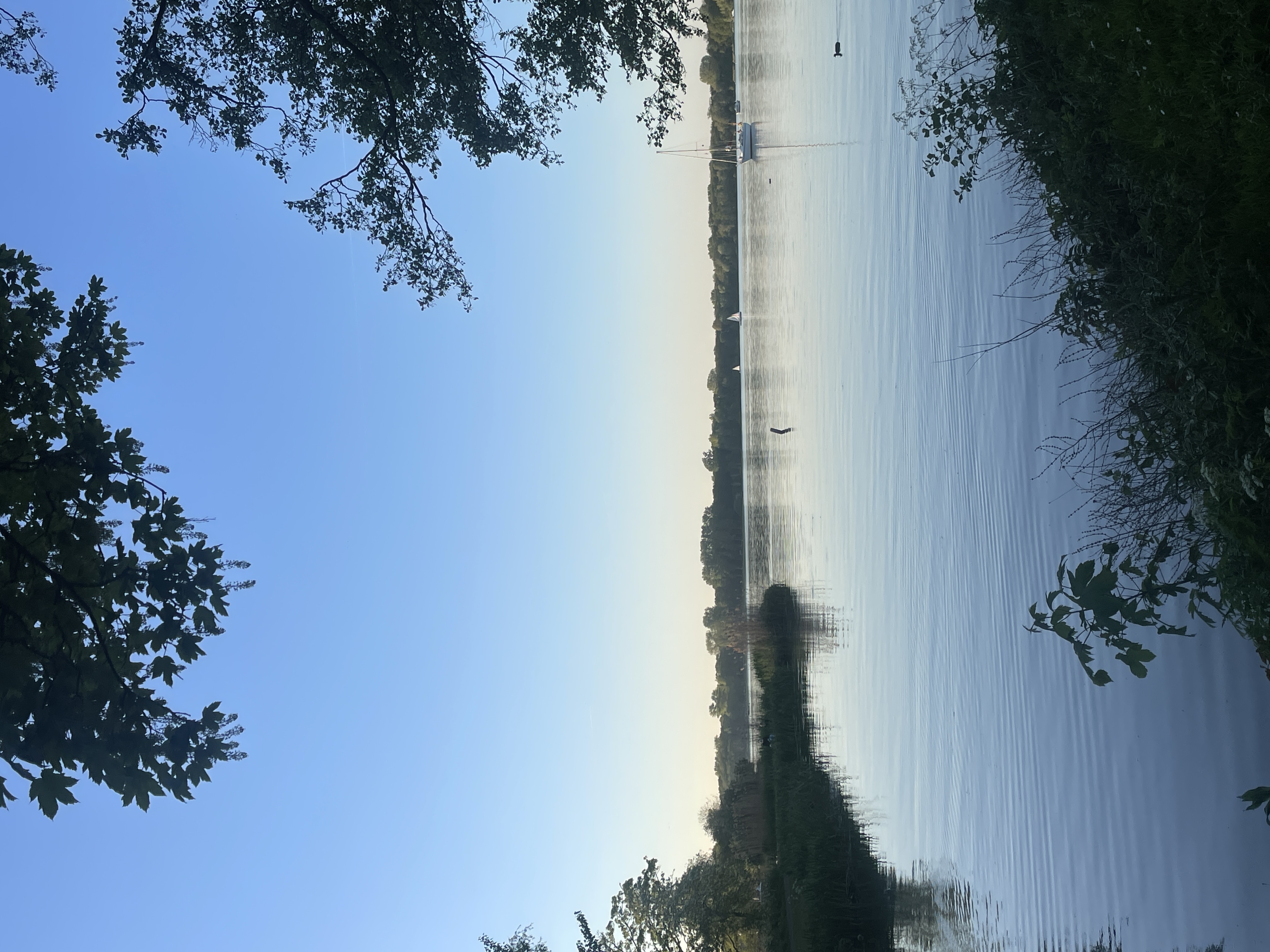 image-25