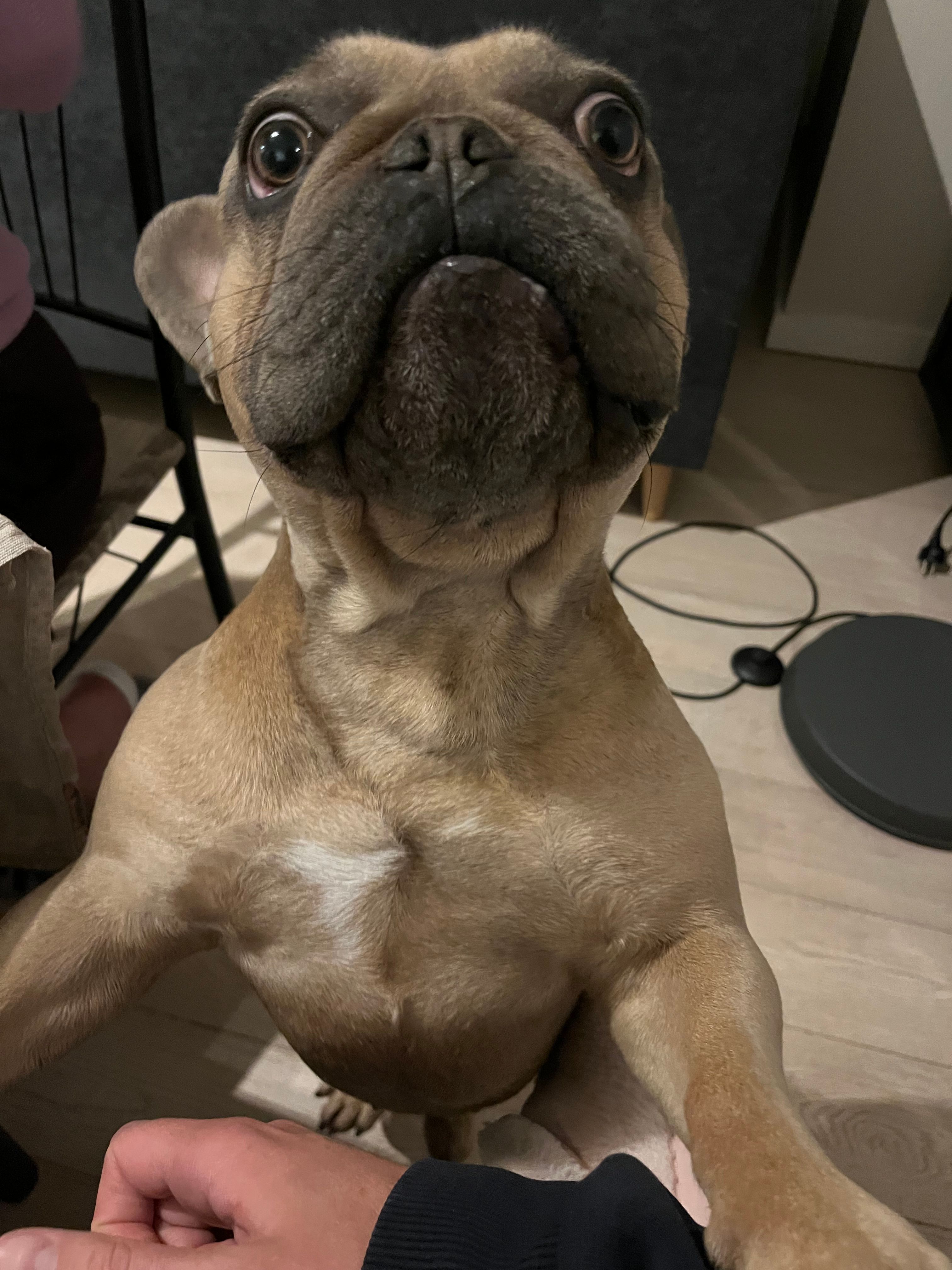 image-3