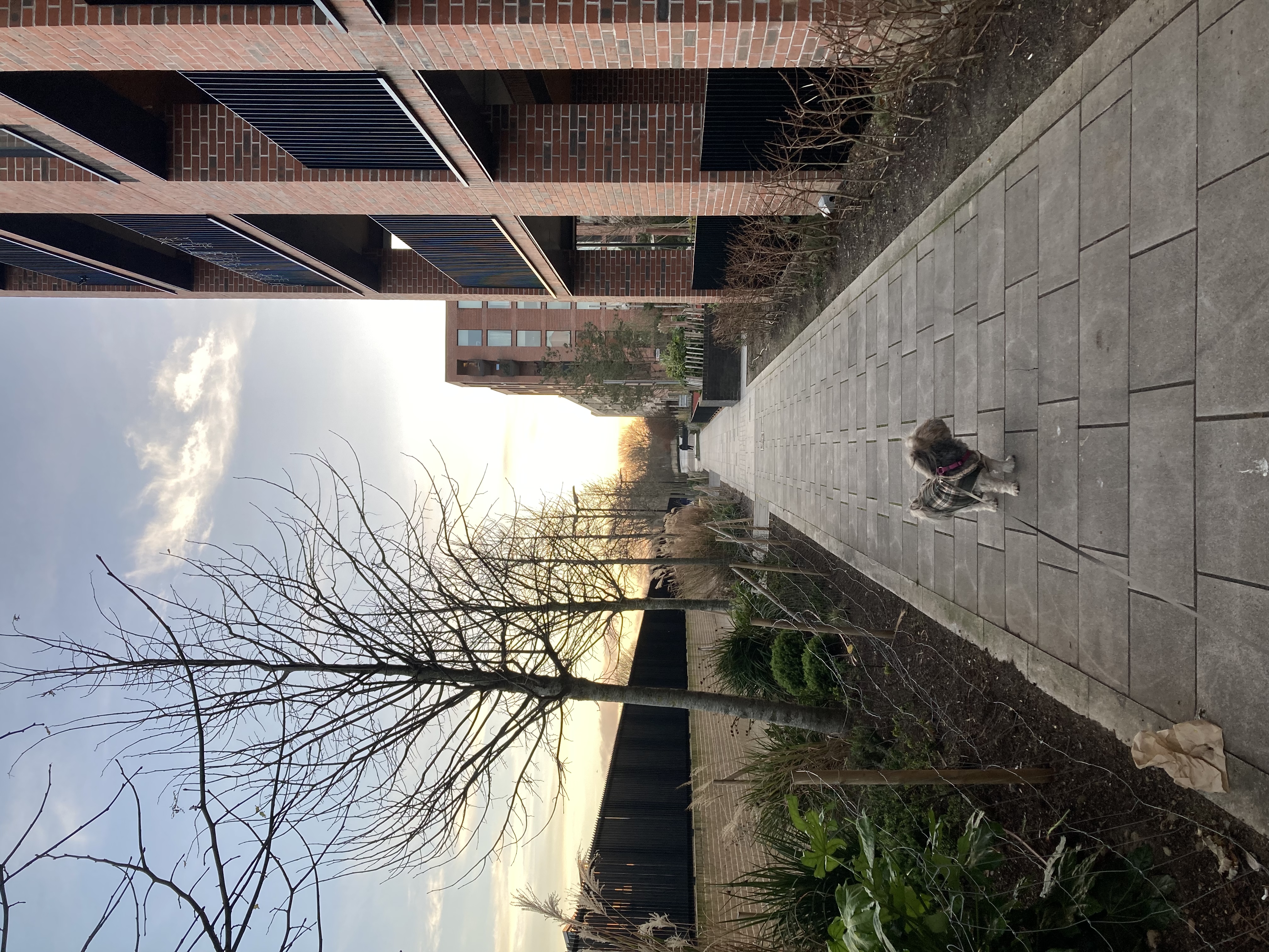 image-16