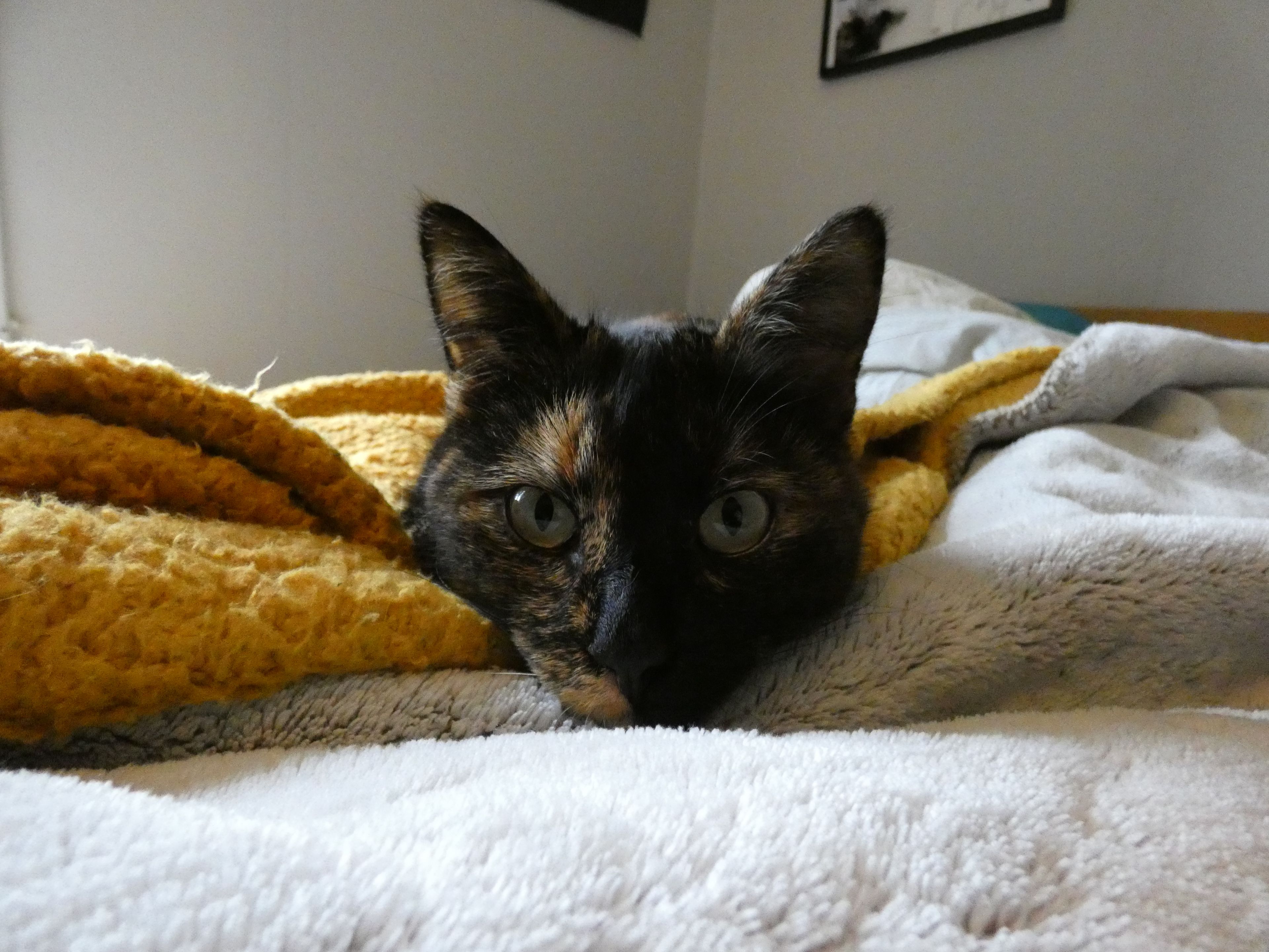 image-5