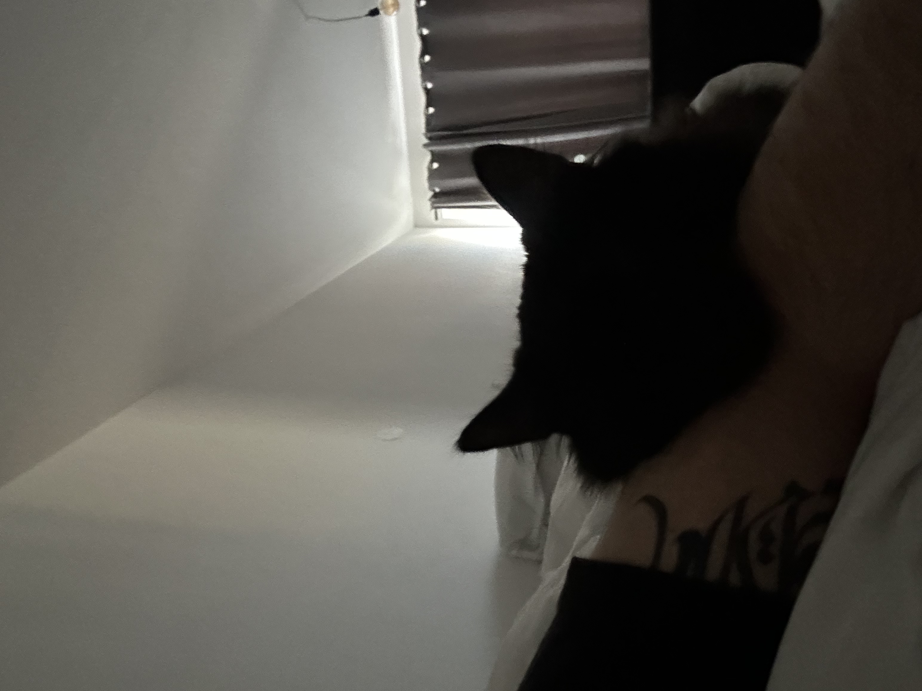 image-5
