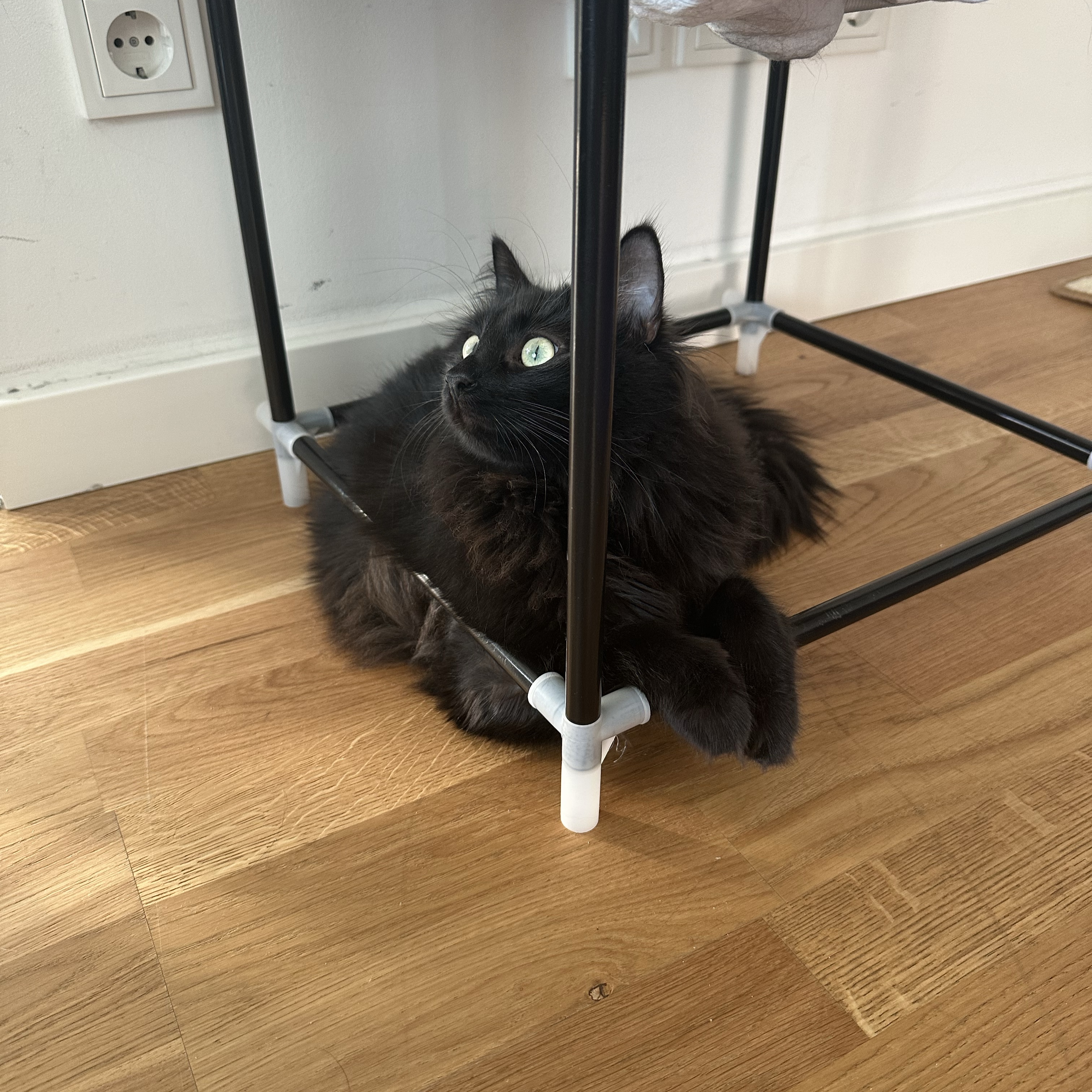 Chef Purry