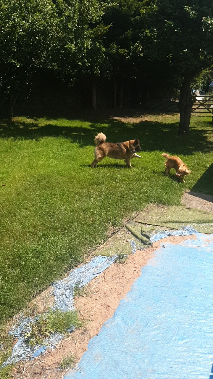 image-17