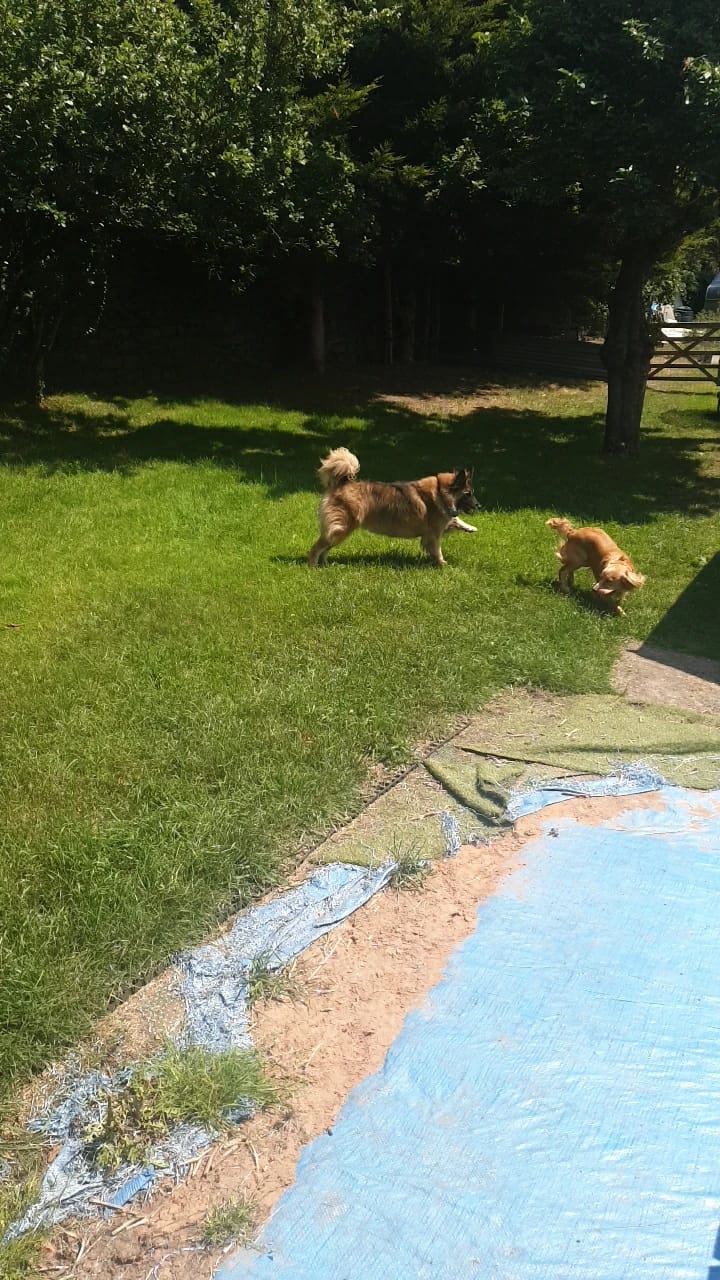 image-17