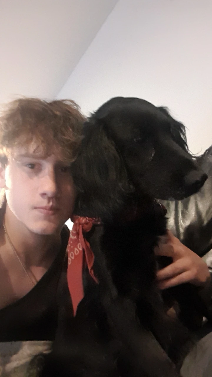 image-8