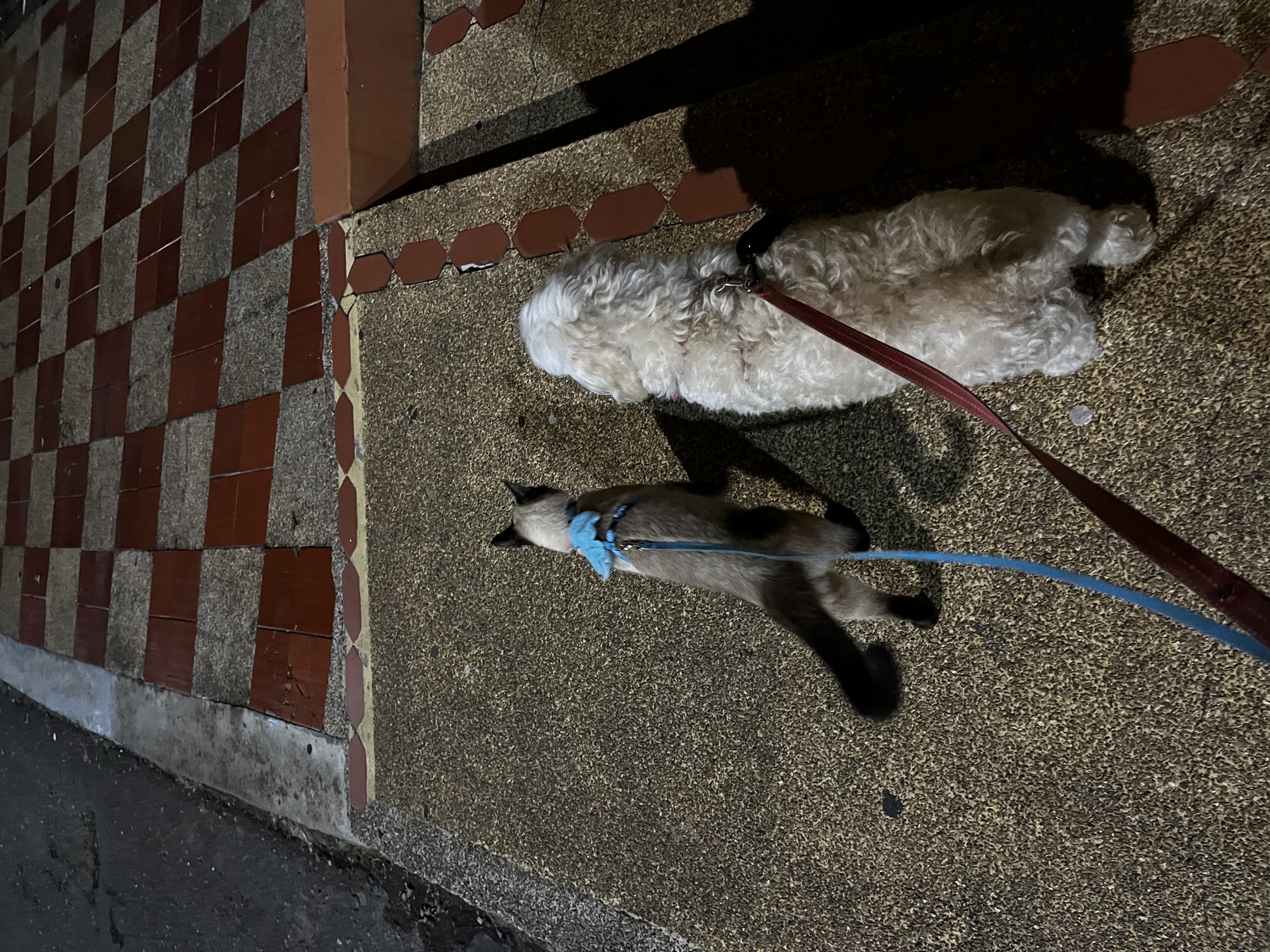image-8