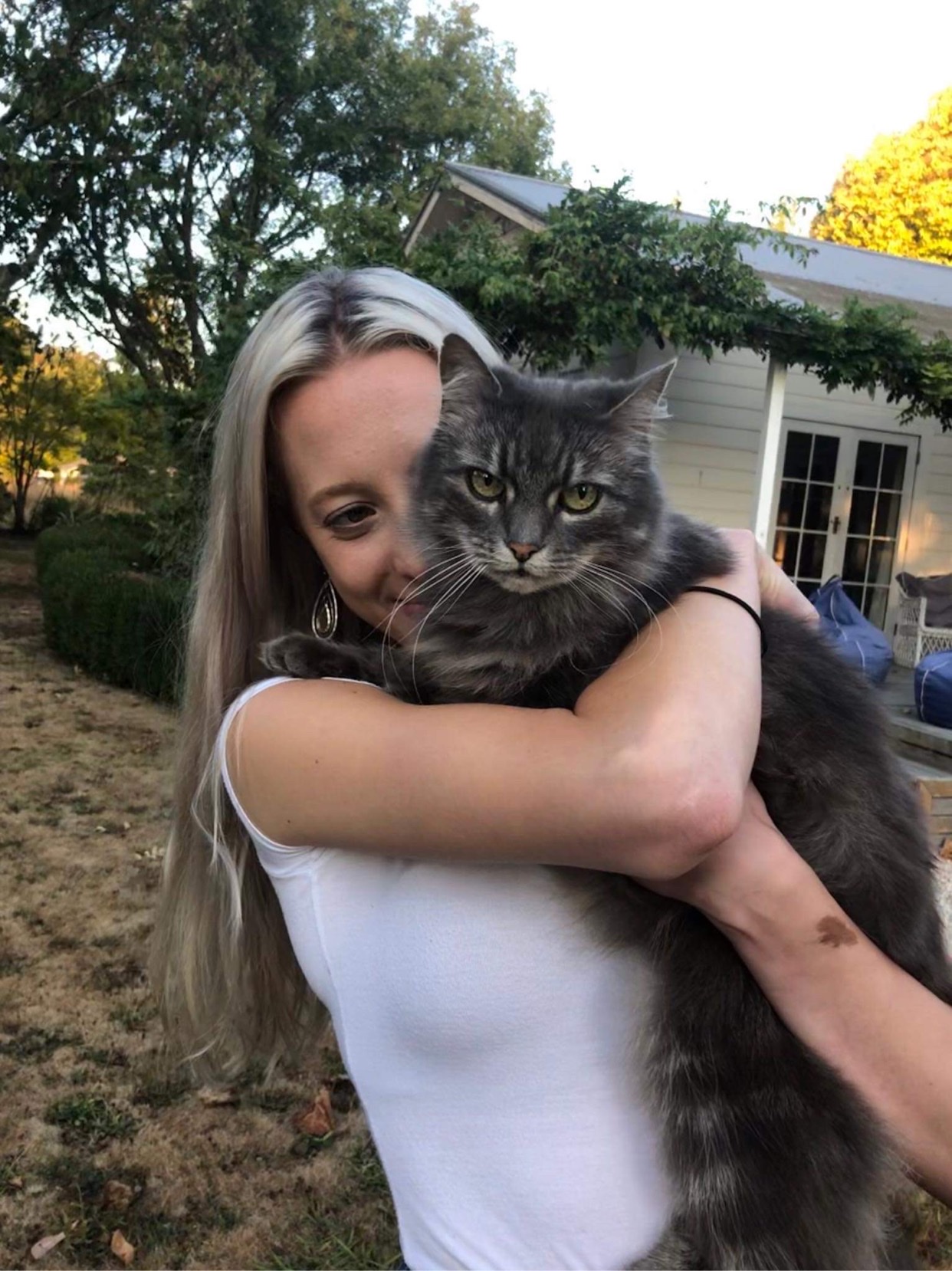 image-4