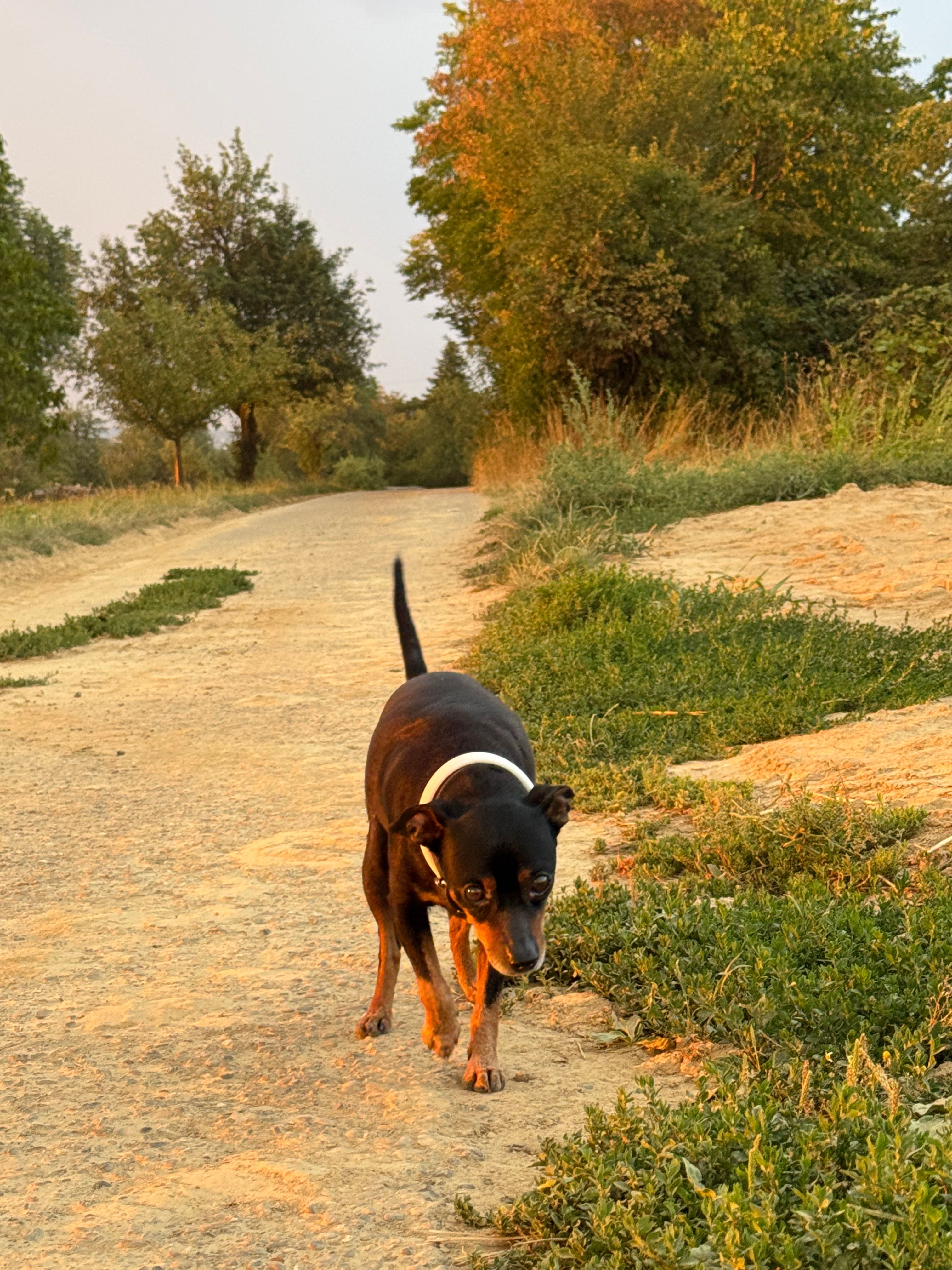 image-1