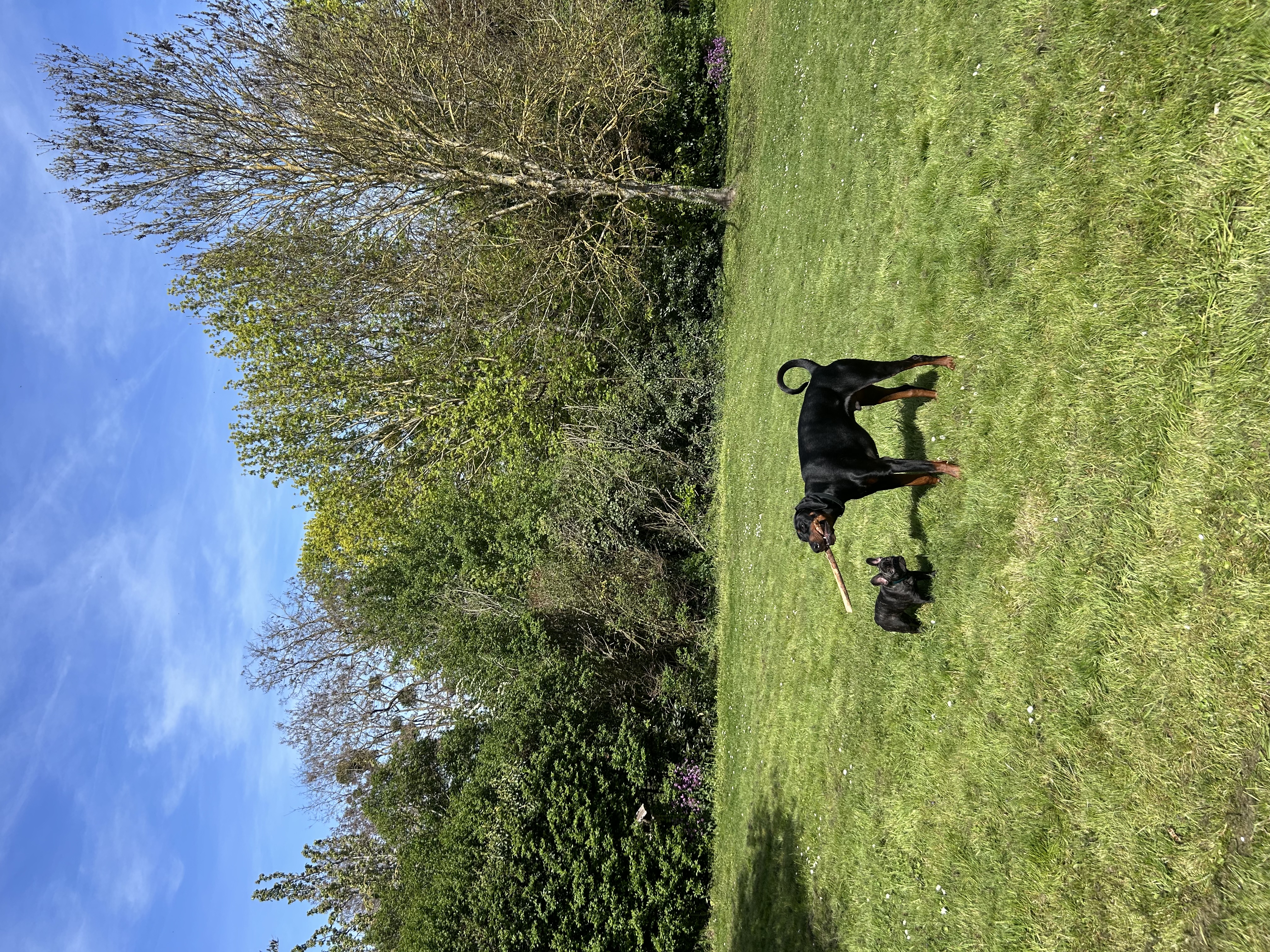 image-3