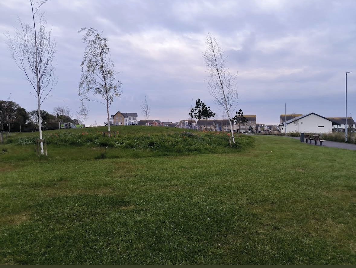 image-19