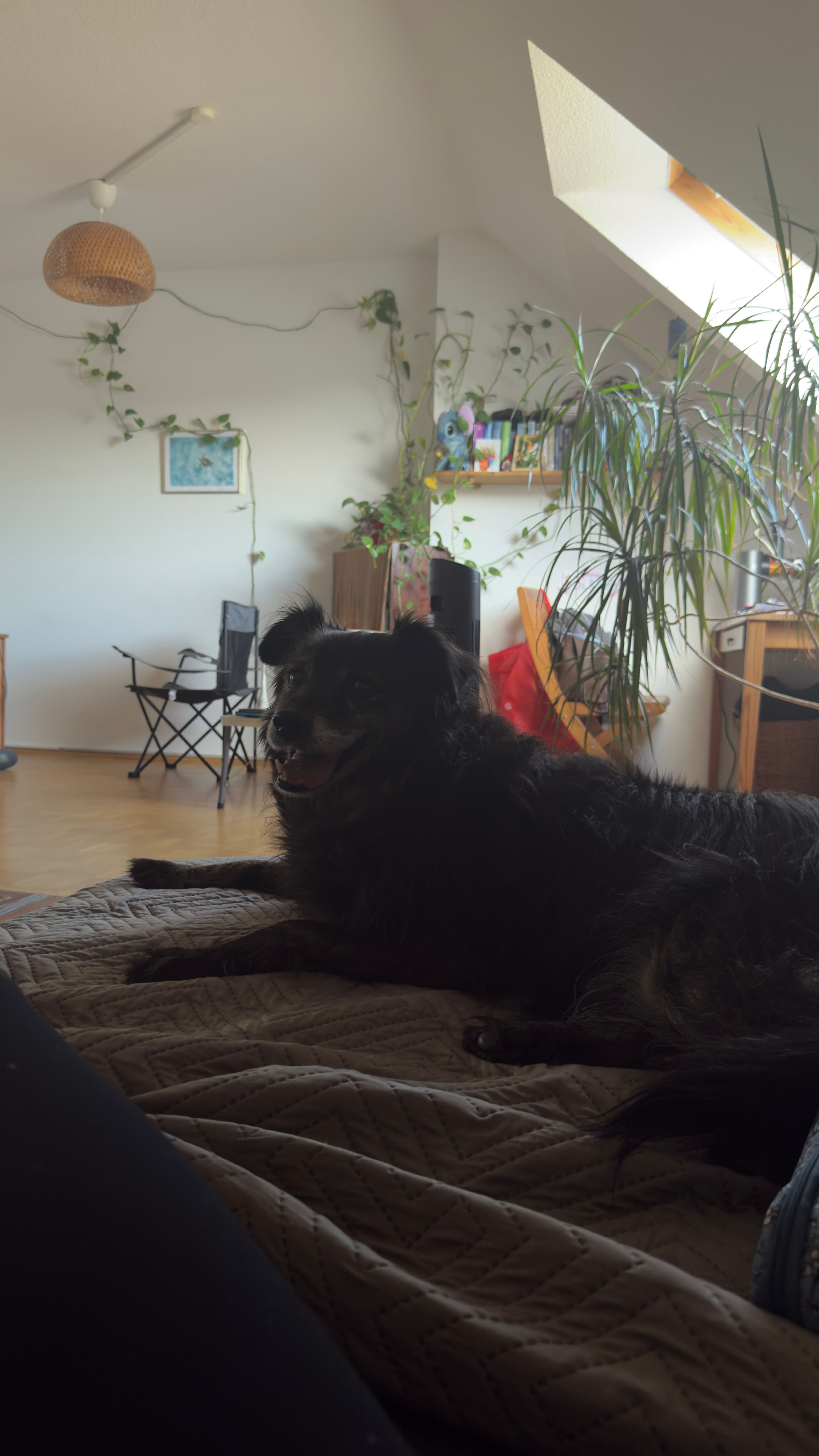 image-9