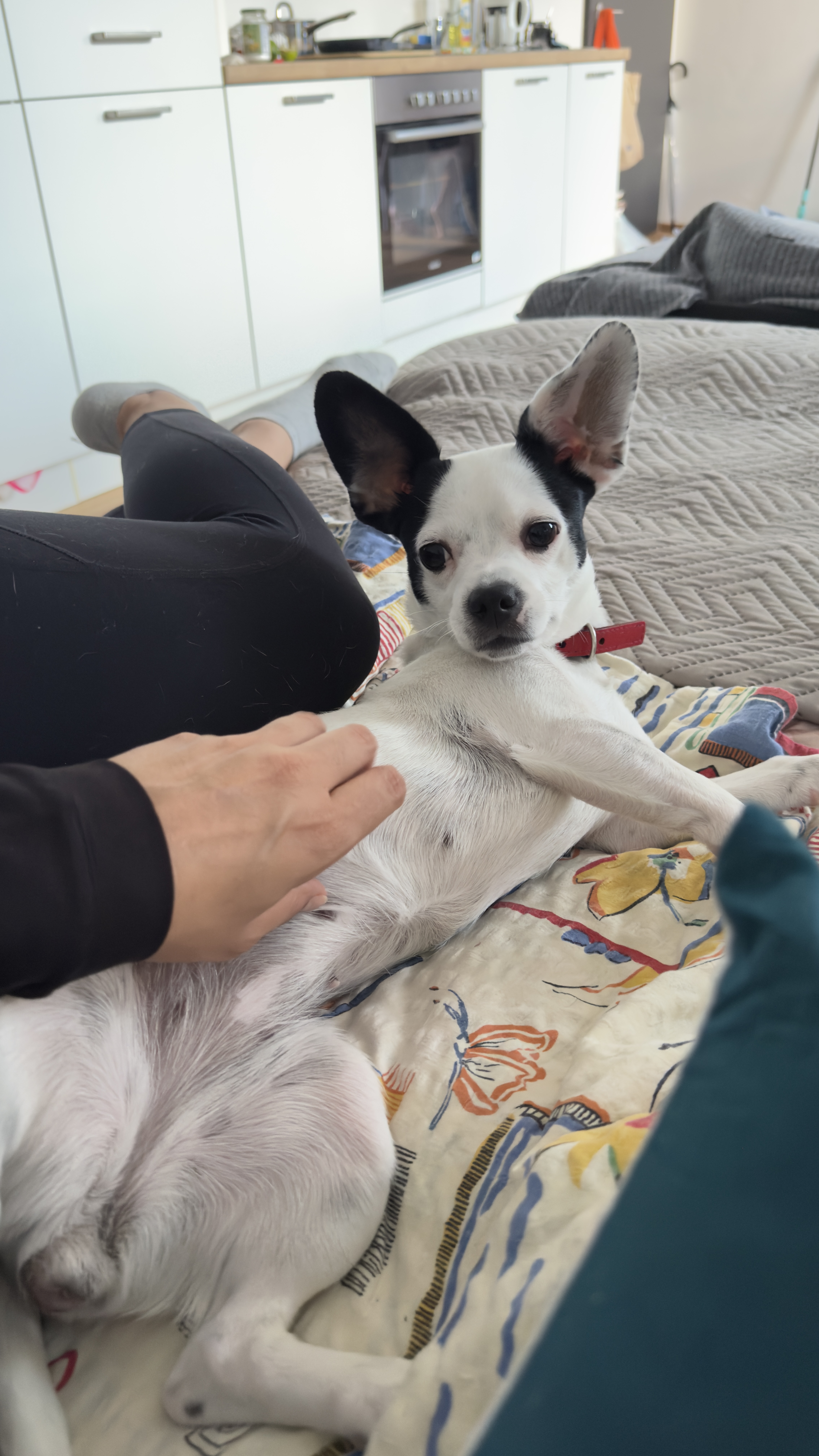 image-7