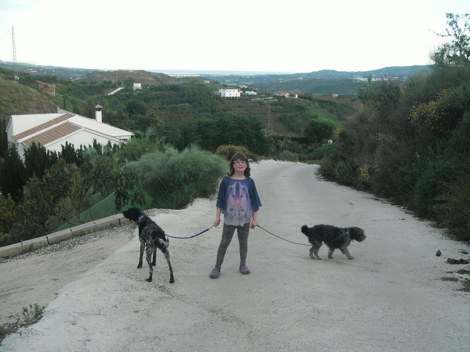 image-4