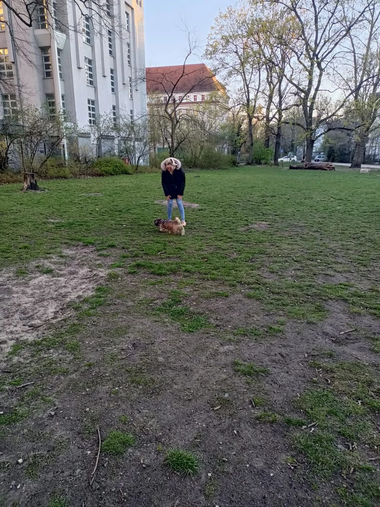 image-4