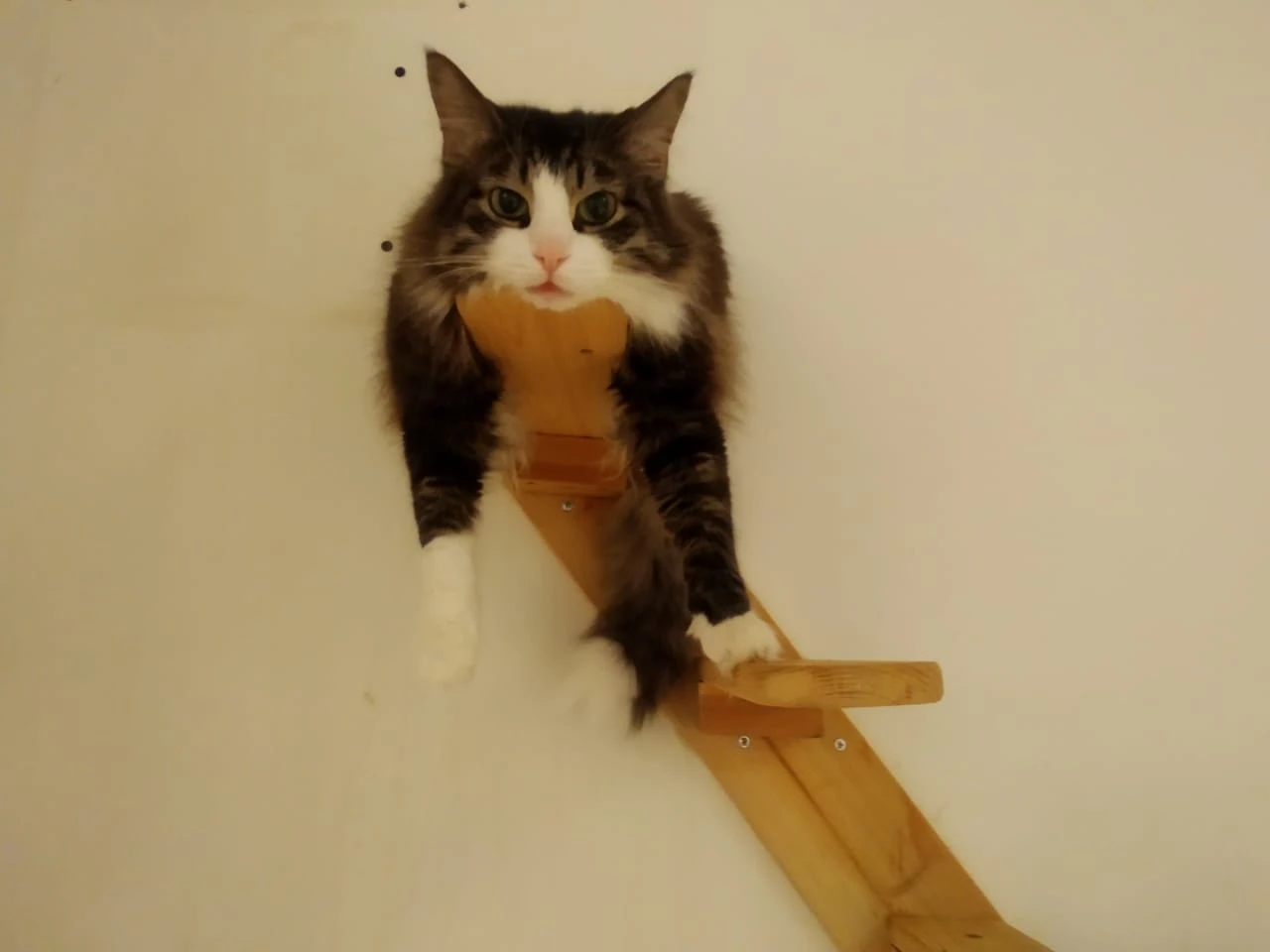 image-27