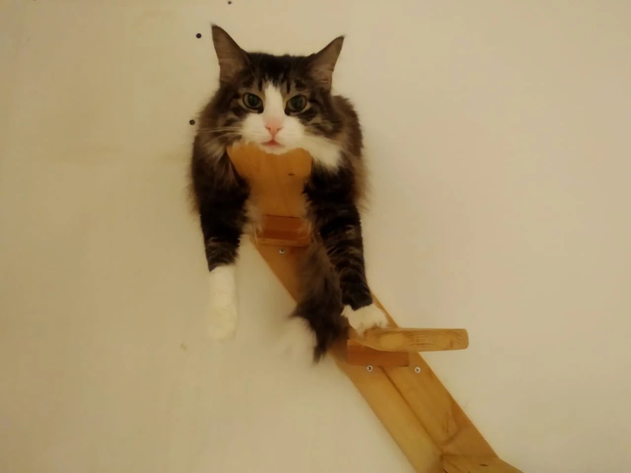 image-27