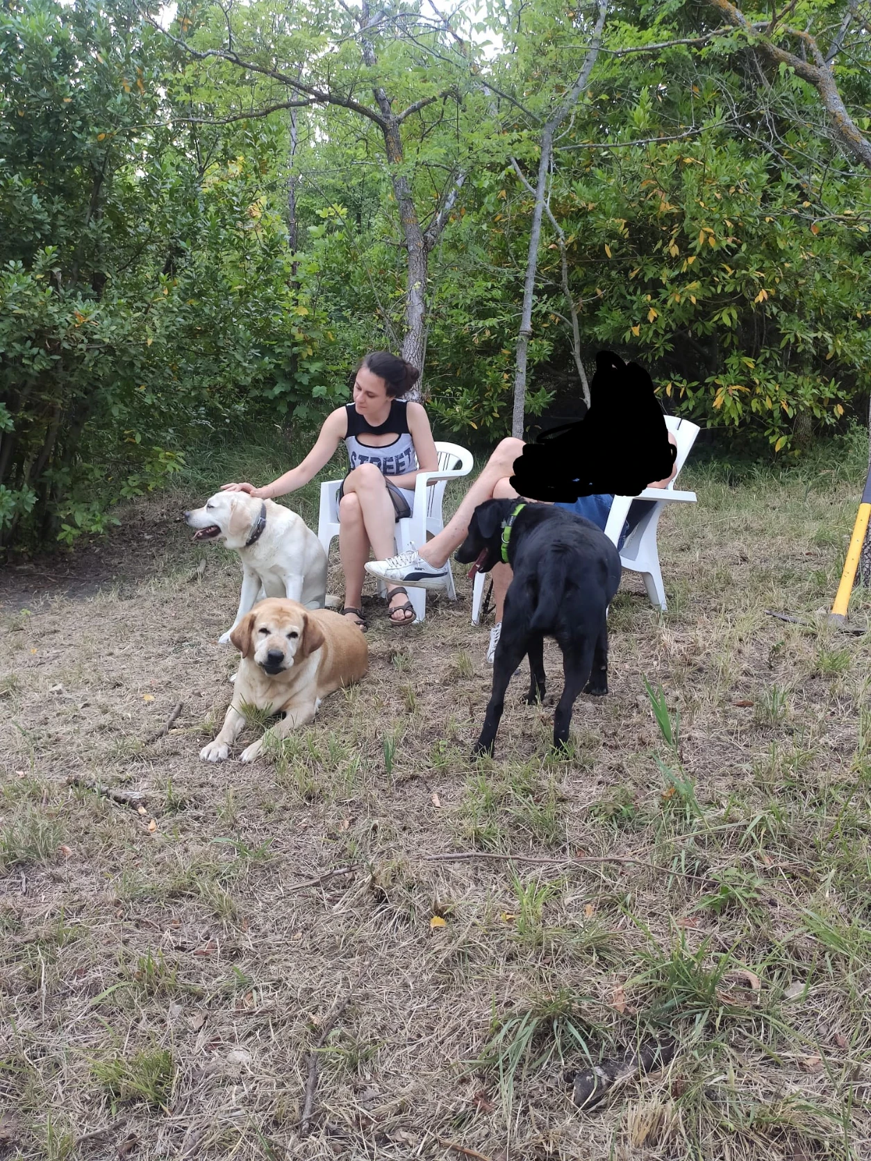 image-4