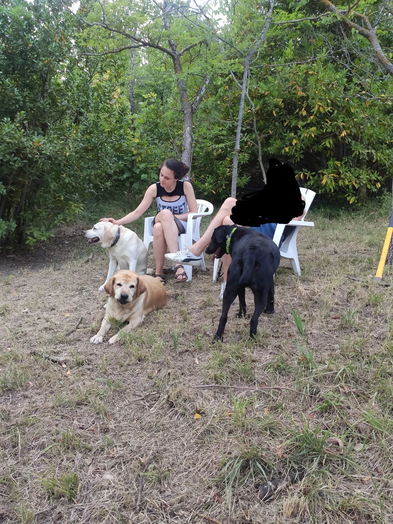 image-4