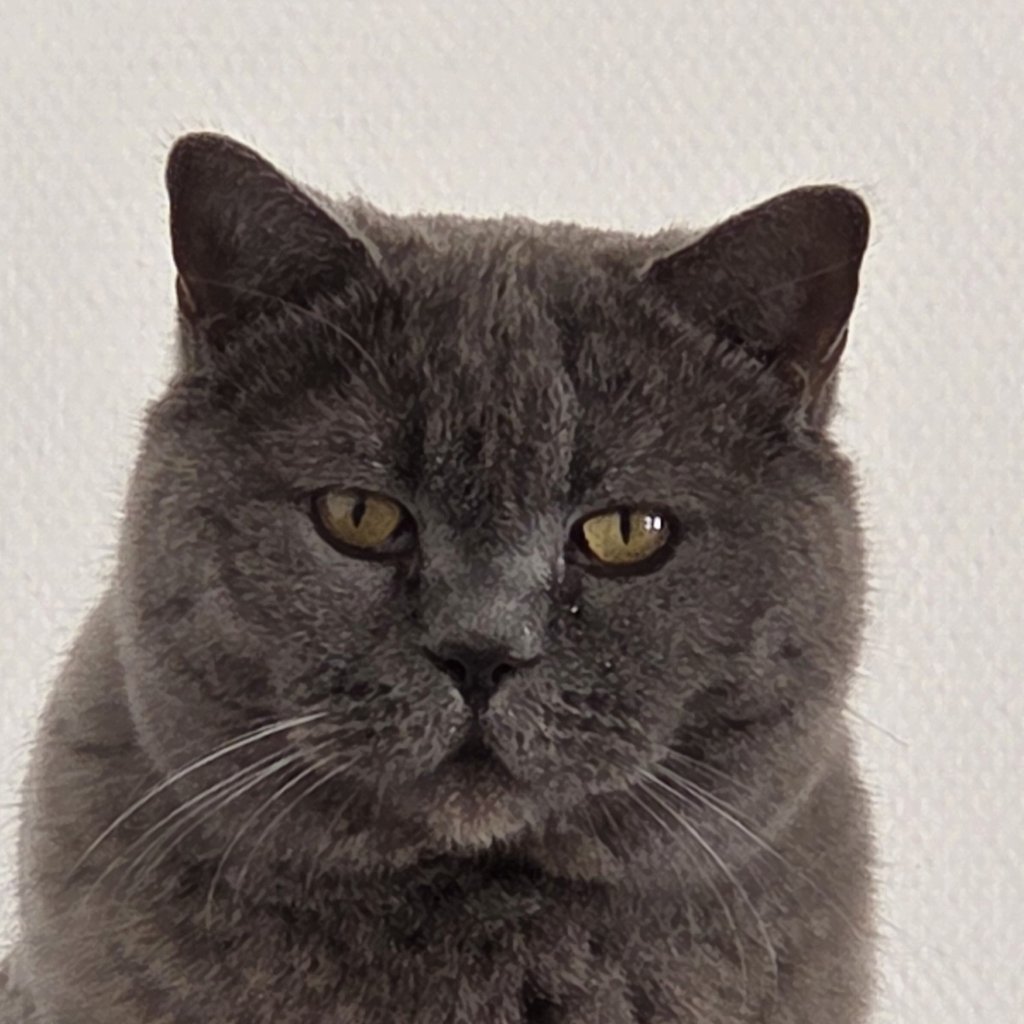 Francois