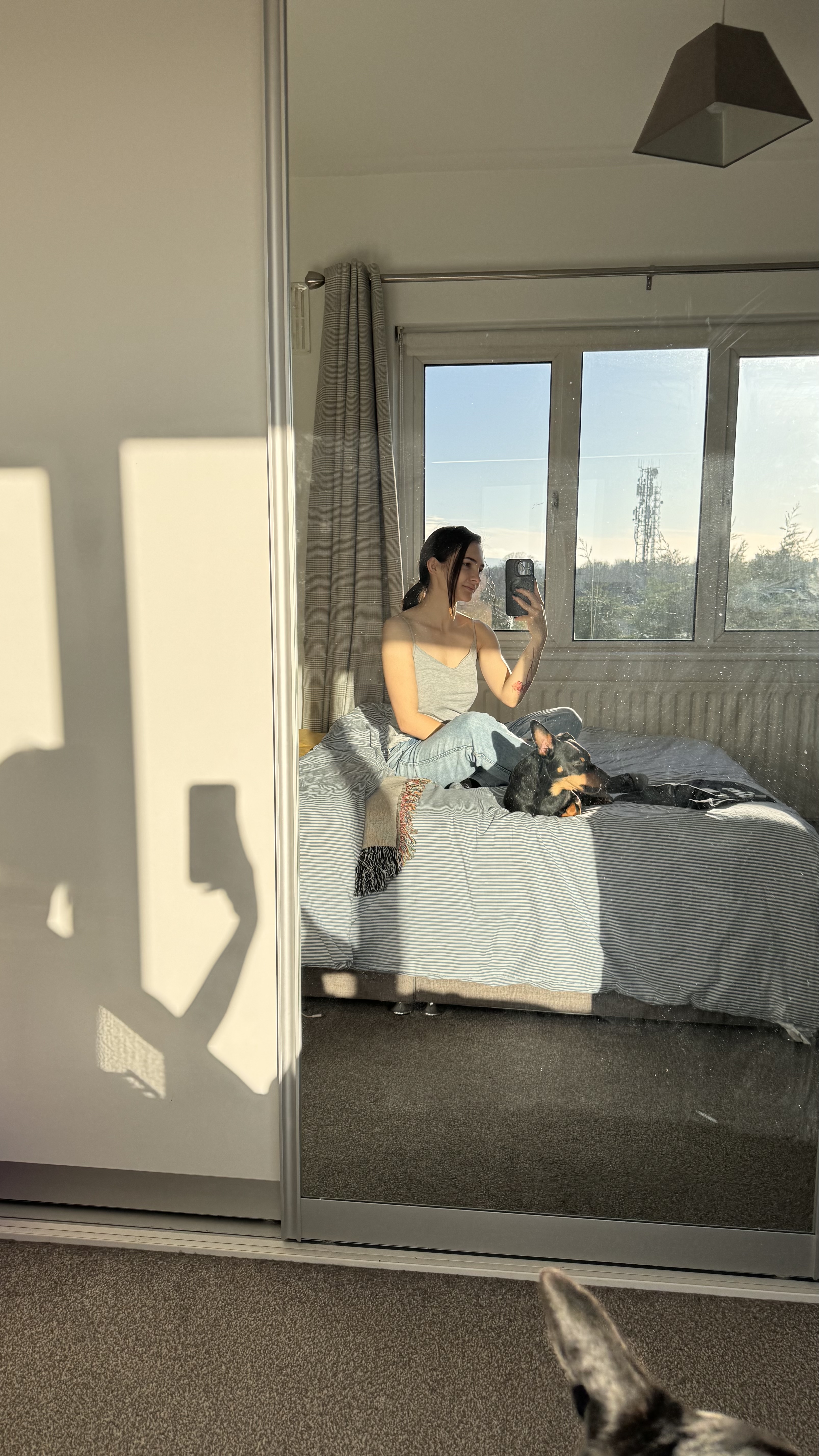 image-7