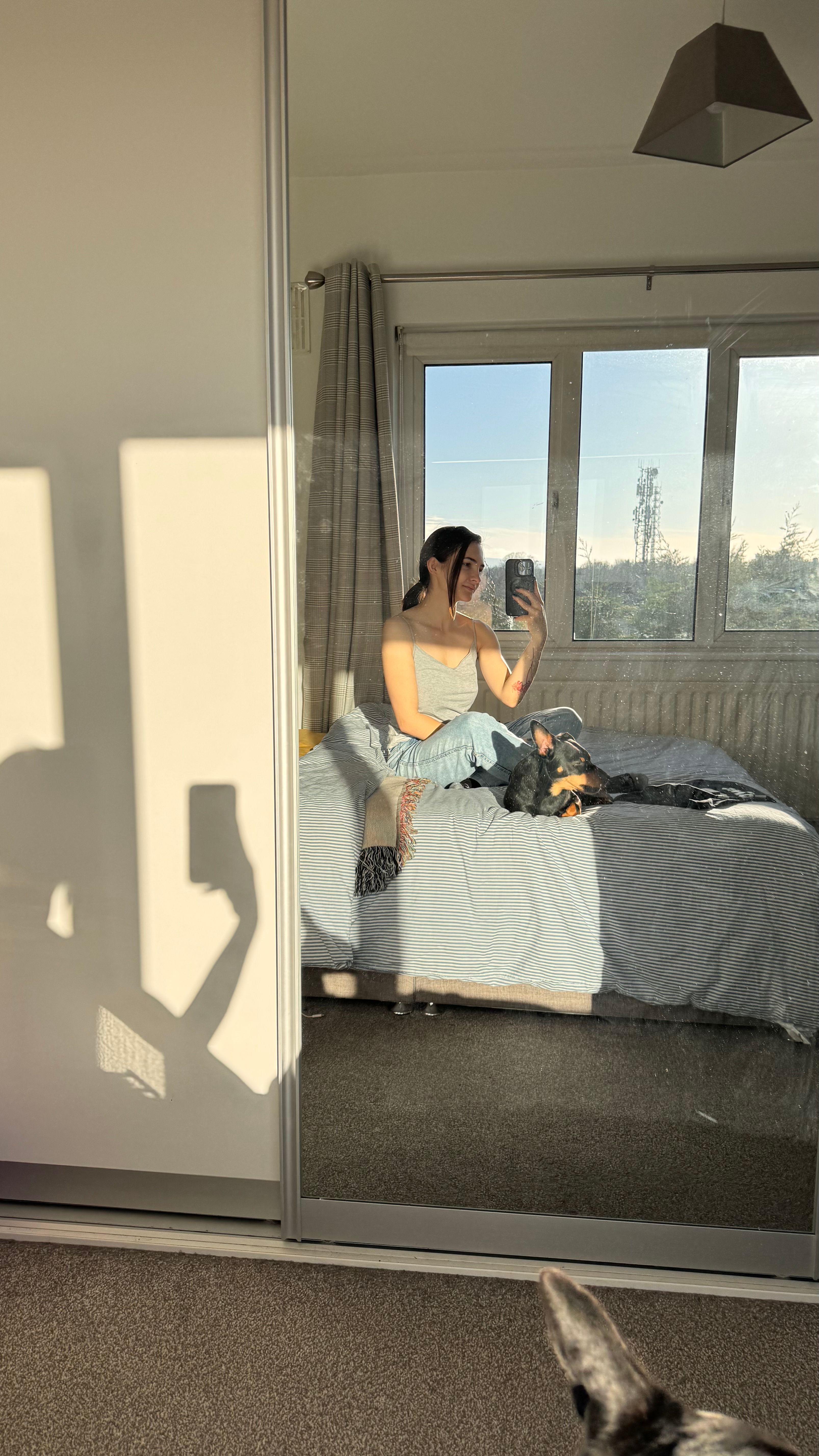 image-7