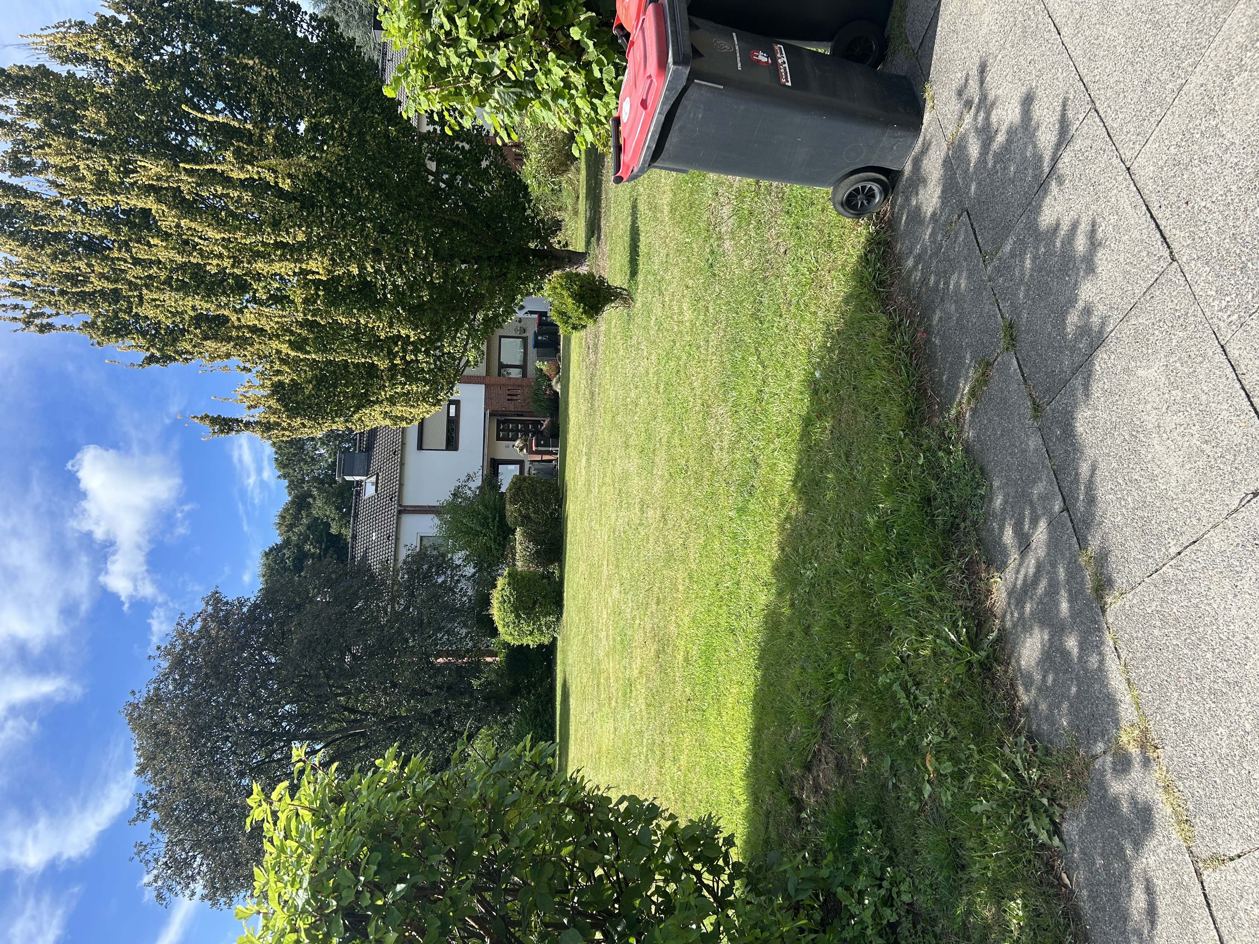 image-13