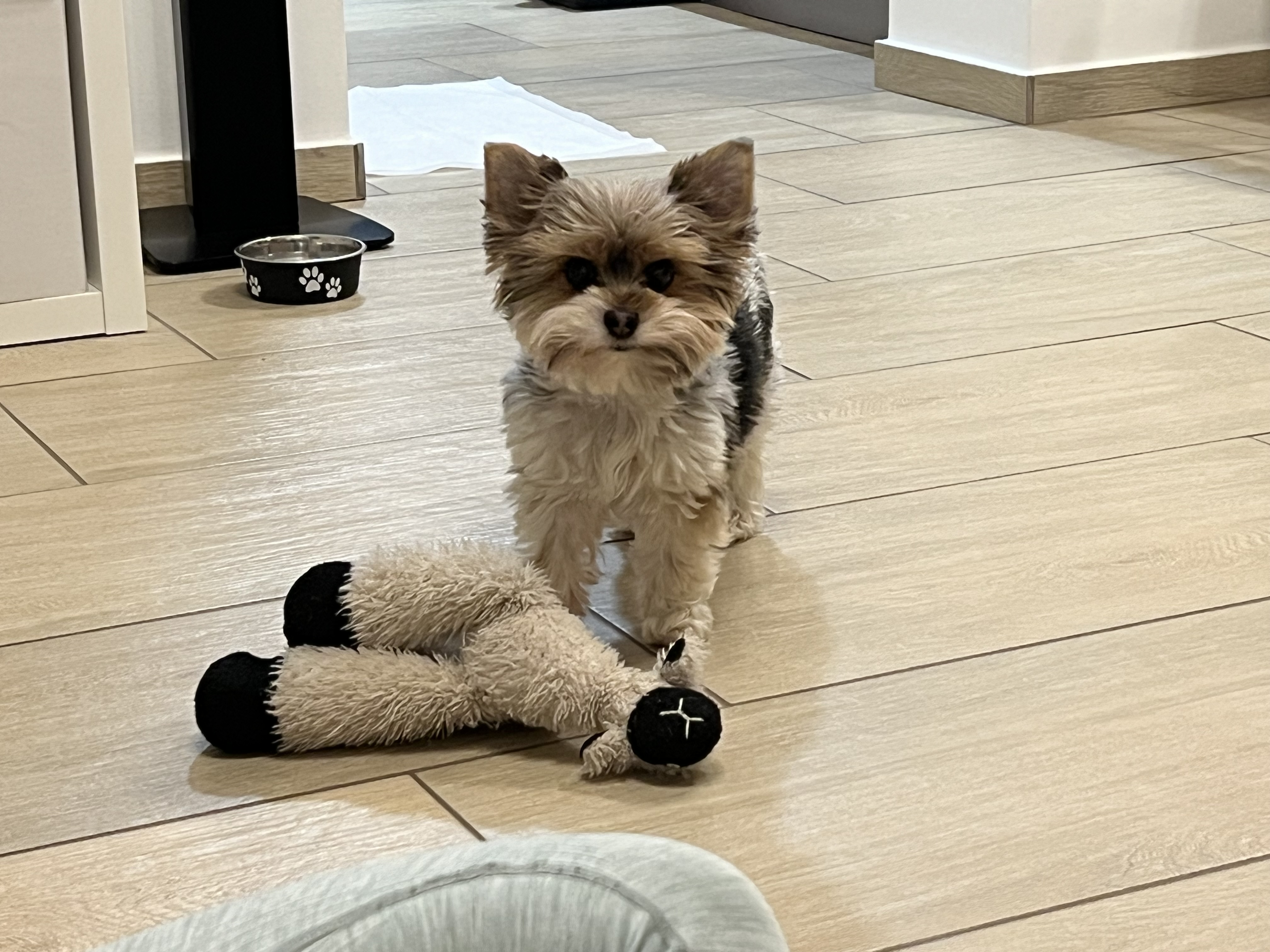 image-12