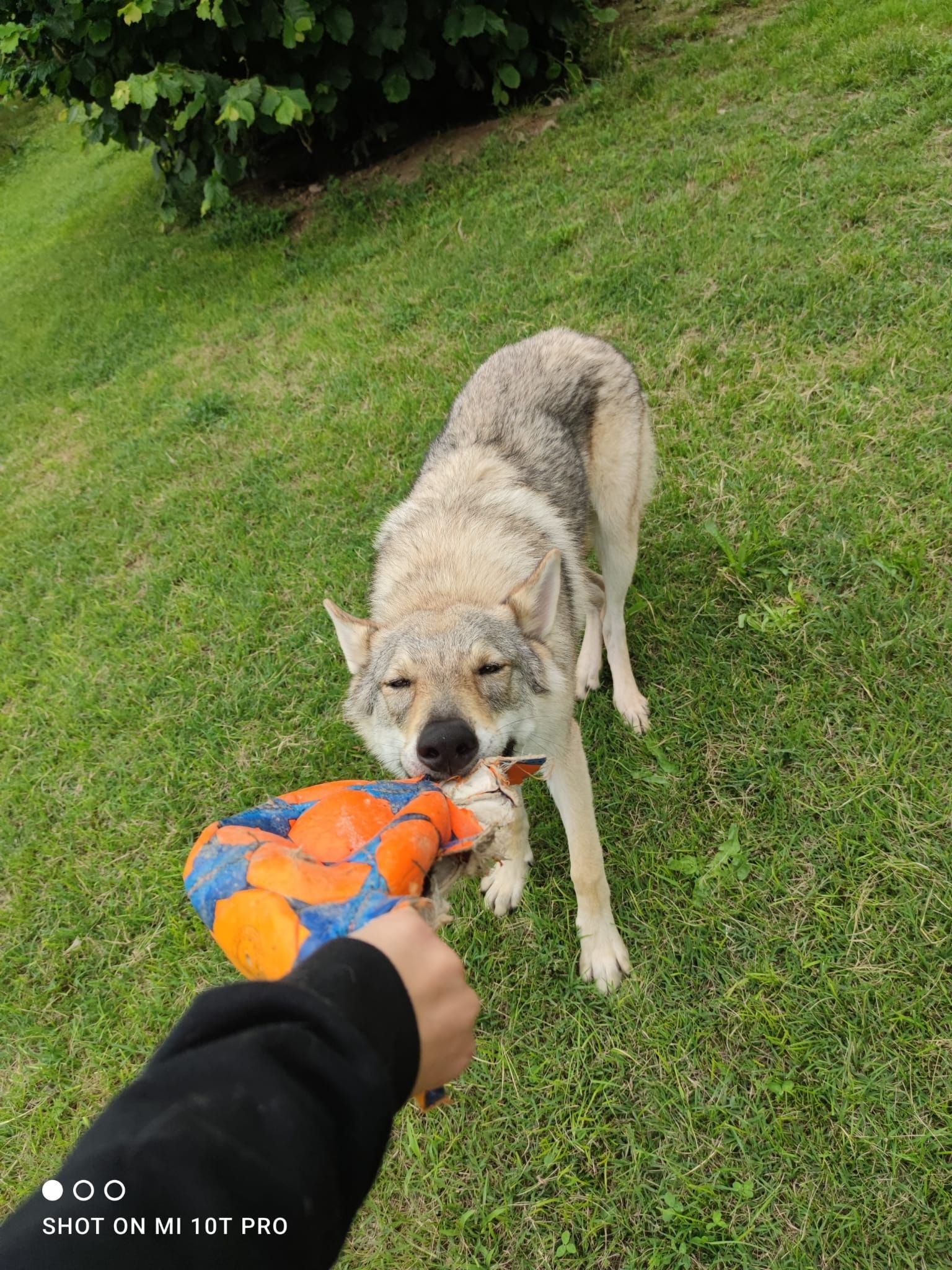 image-4