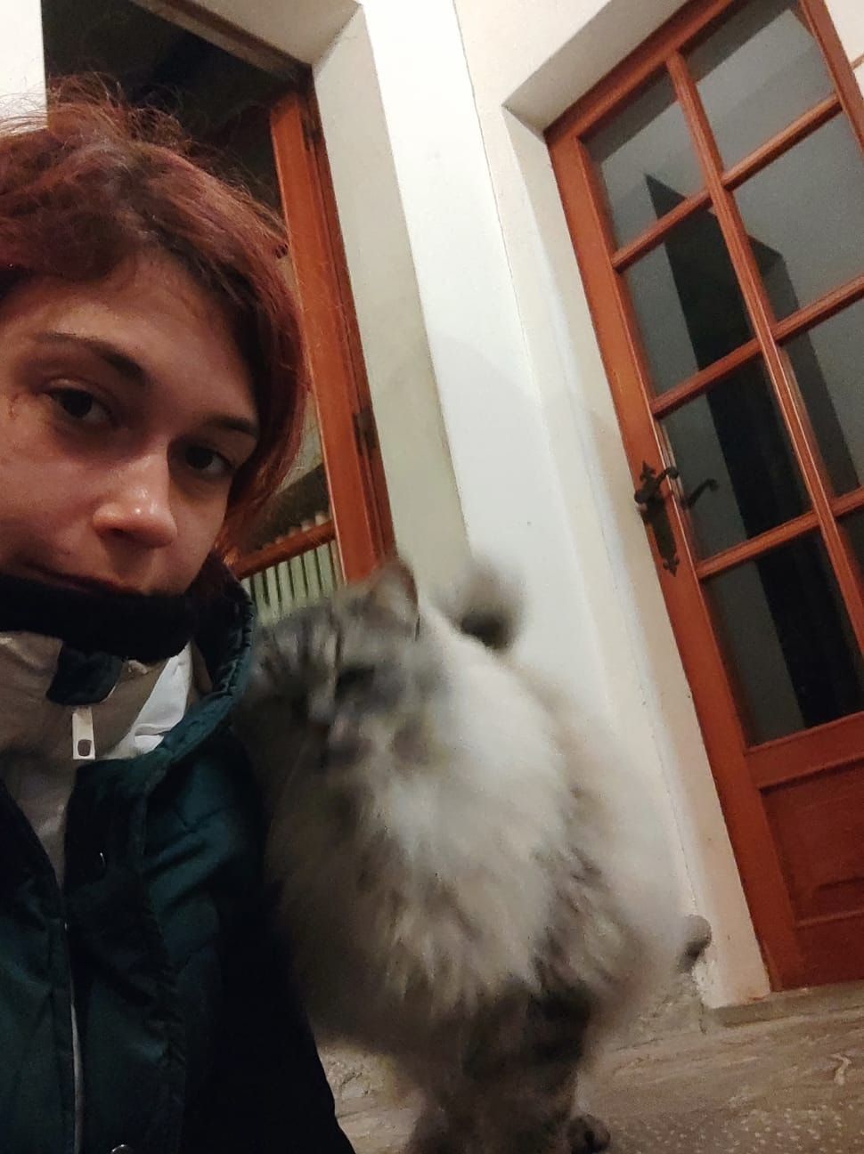 image-6