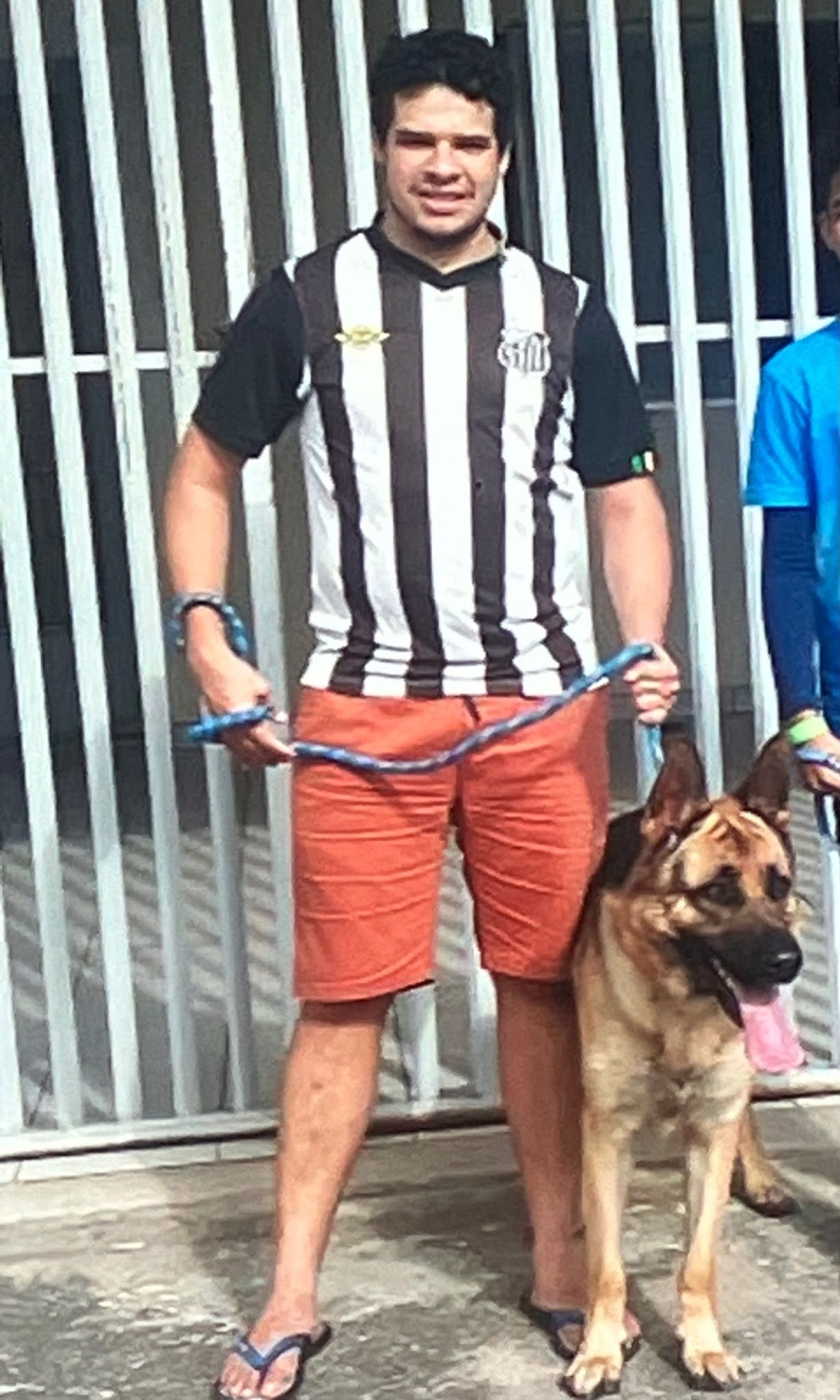 image-8