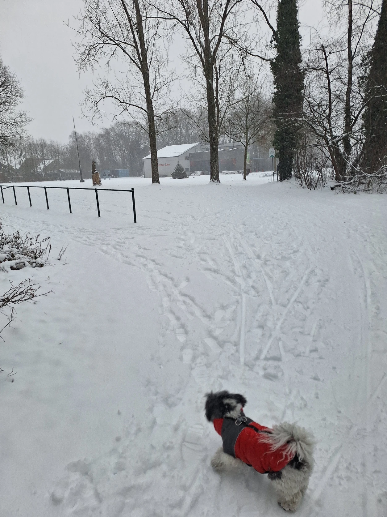 image-9