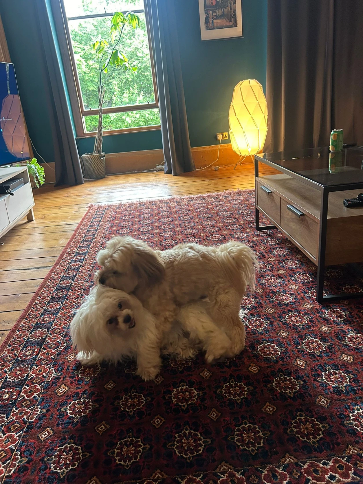 image-12